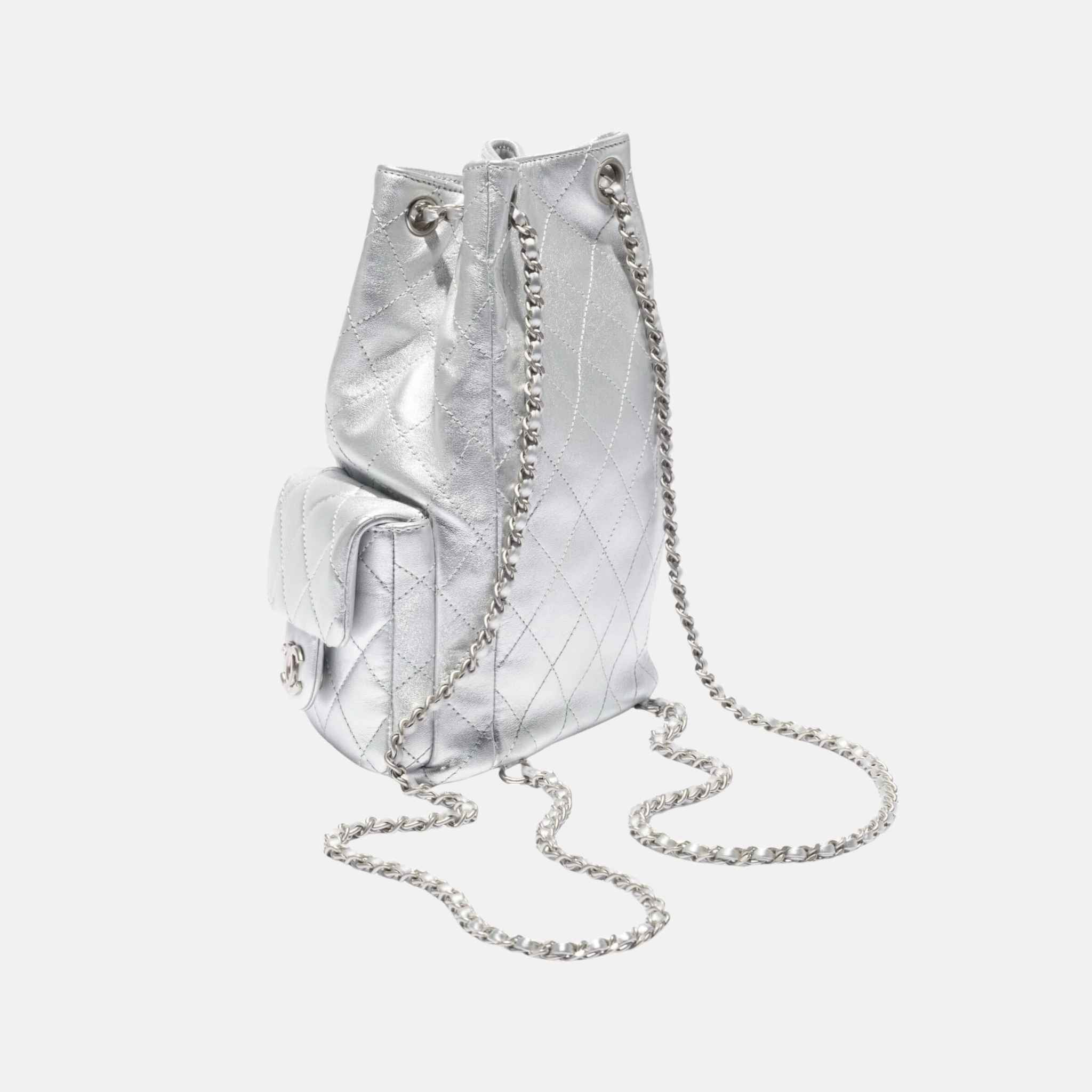 Chanel Backpack Cruise 2024/25 In Metallic Lambskin And Silver Metal, Back