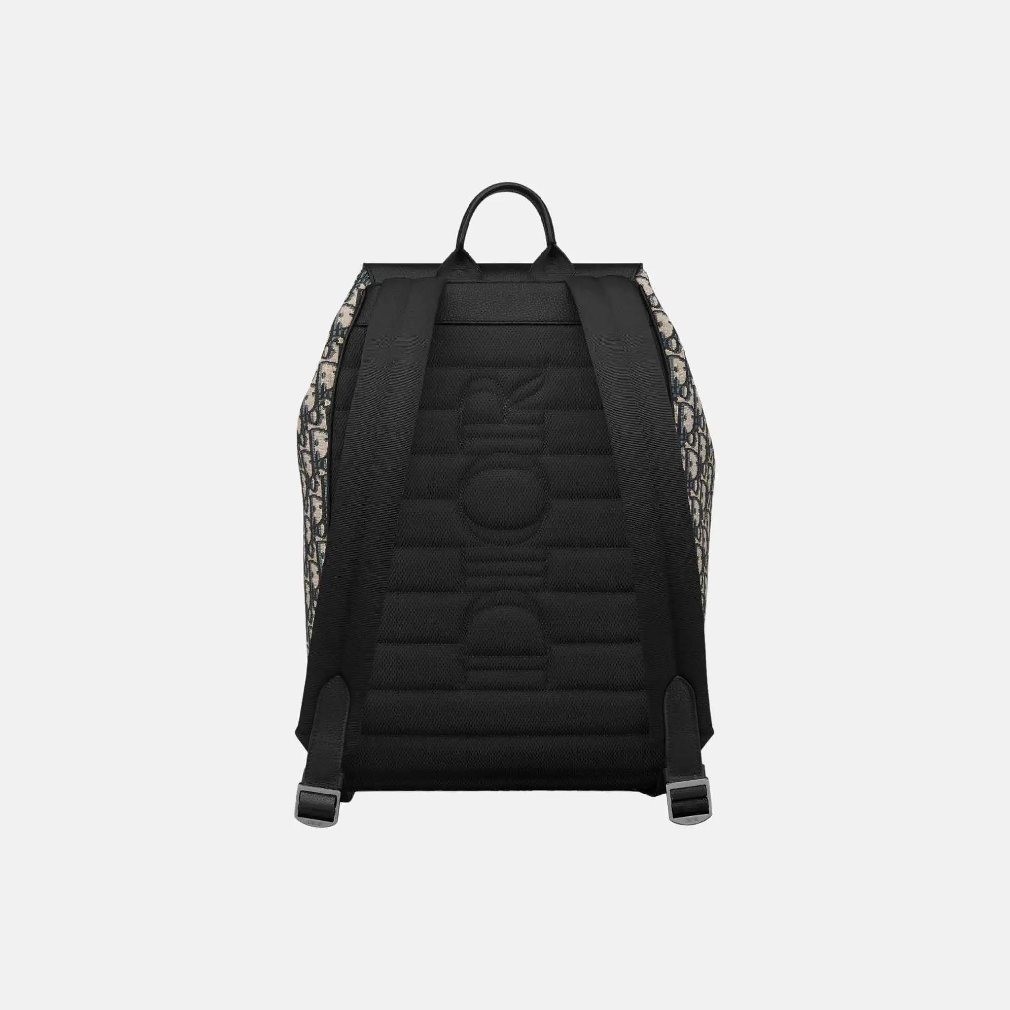 Dior Saddle Flap Backpack in Oblique and Grained Calfskin, Beige, Back