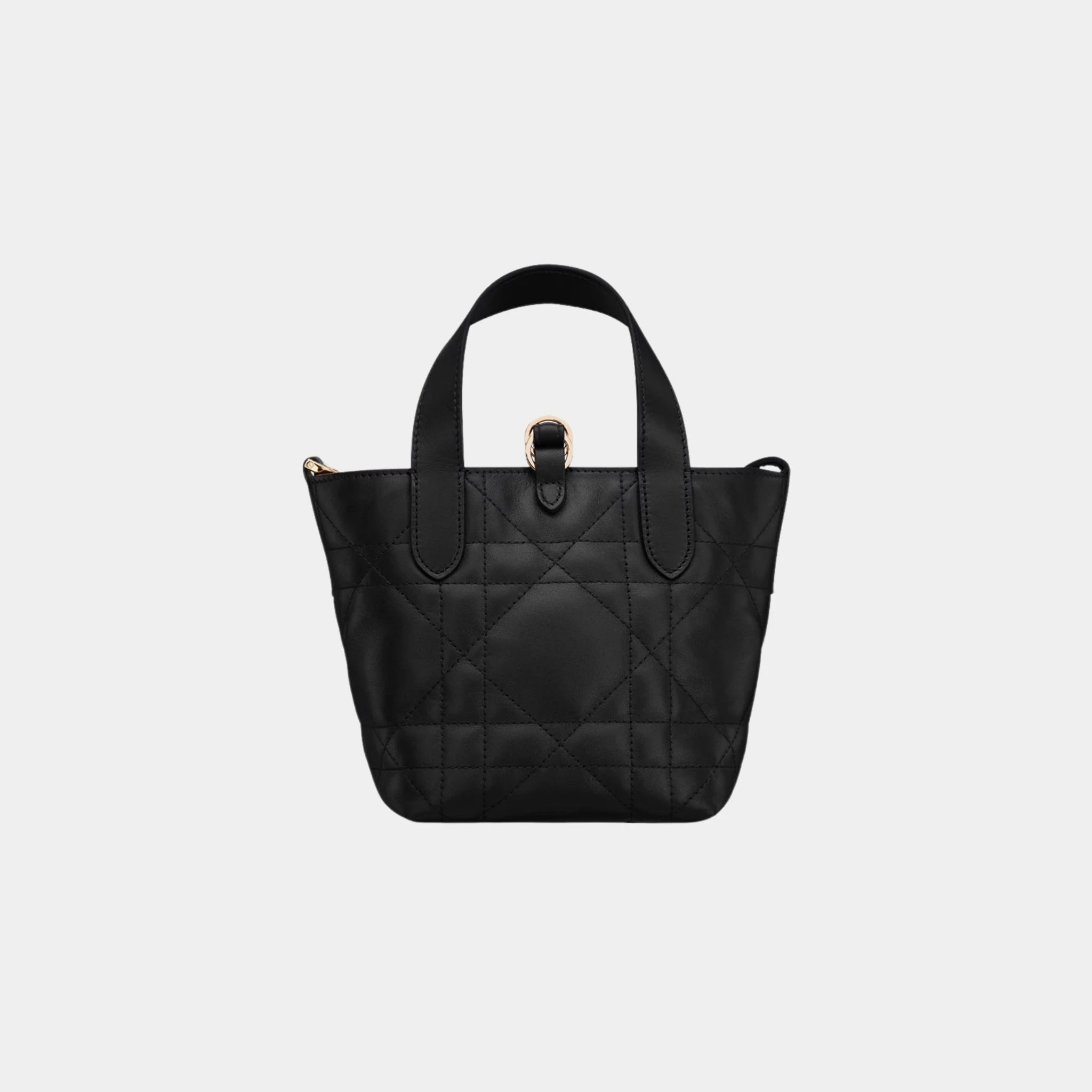 Dior Toujours Vertical Nano Tote Bag,
Black, Back