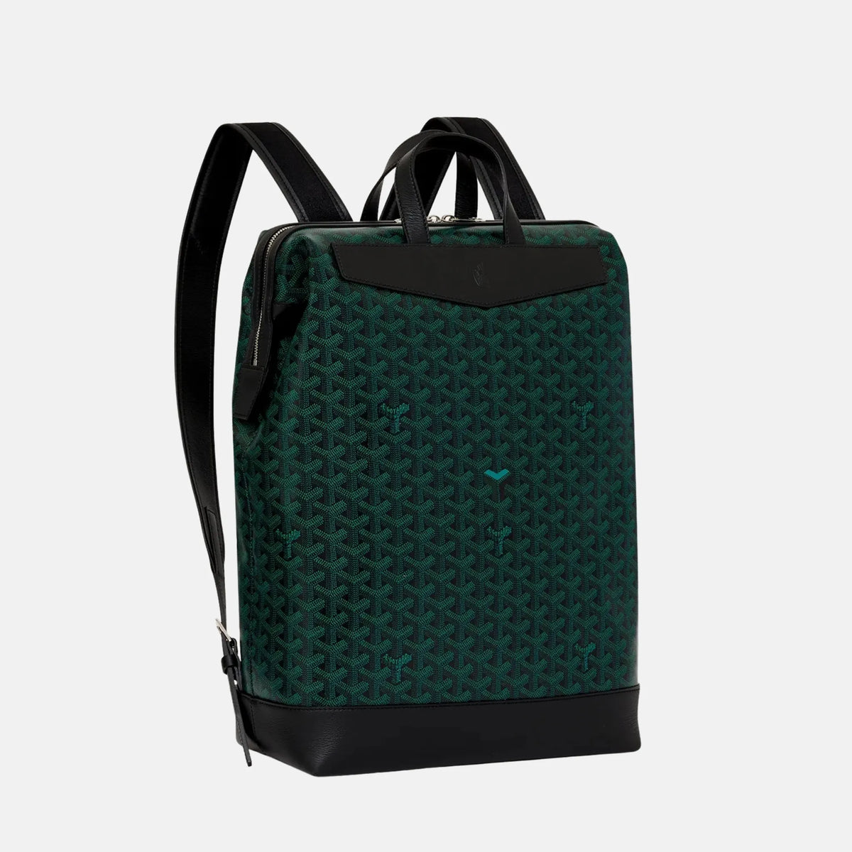 Goyard Cisalpin Backpack Limited Edition, Front