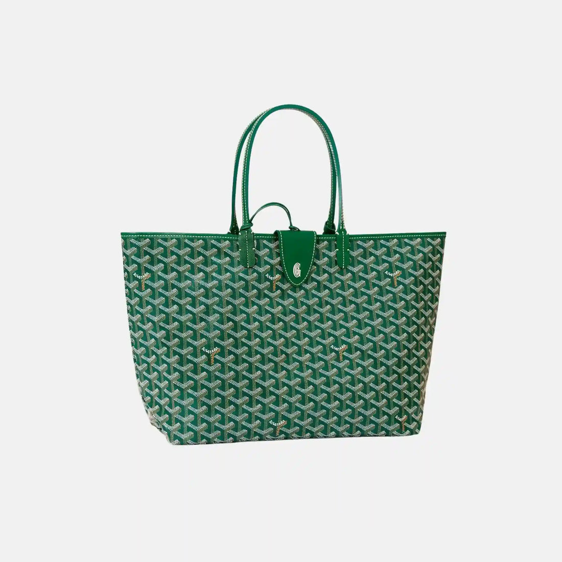 Goyard Saint Louis PM Bag, Green, Front, With Croc