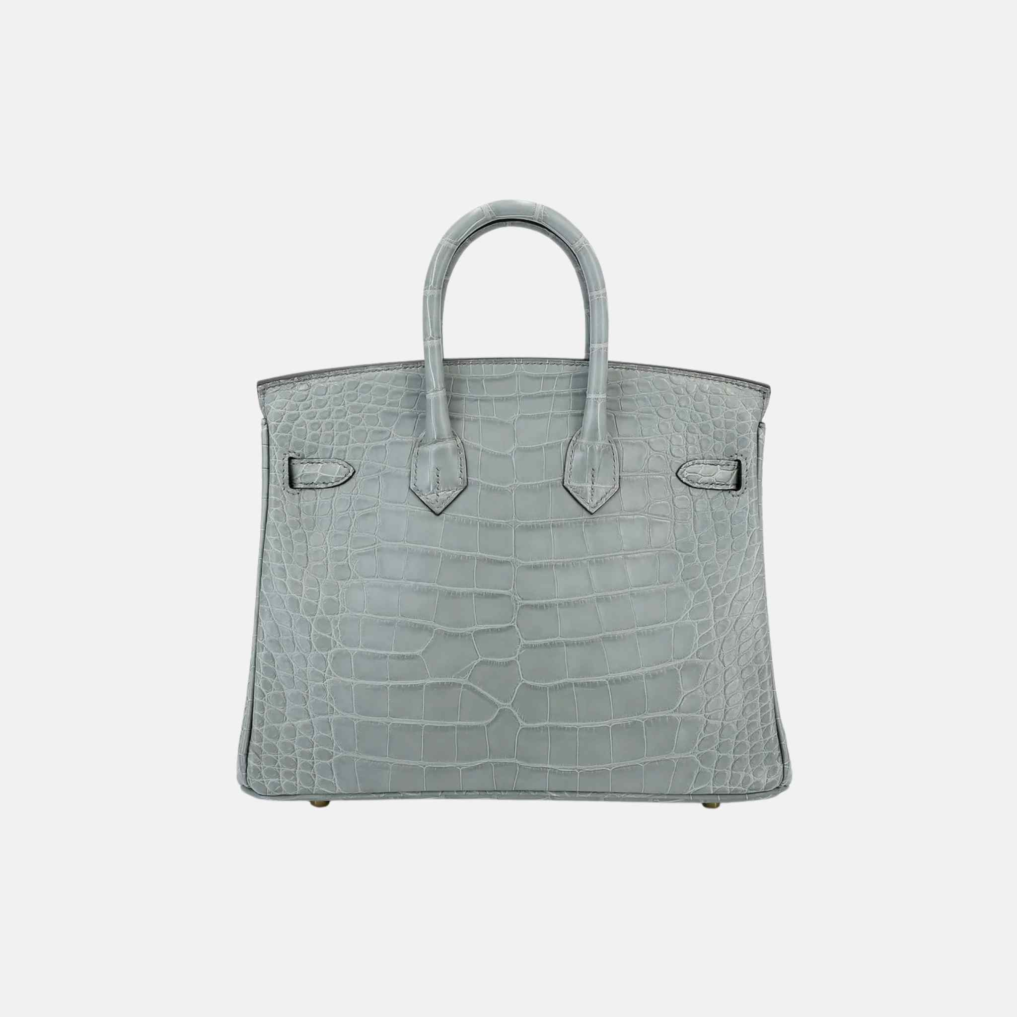 Birkin 25 Matte Alligator Gris Ciment GHW, Back