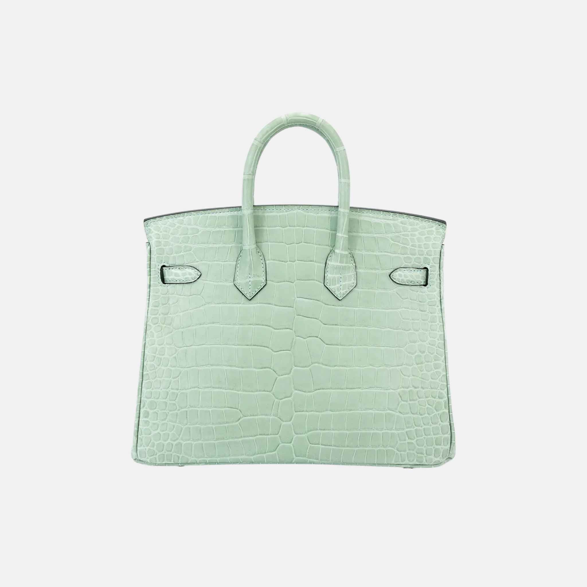 Hermes Birkin 25 Matte Porosus Crocodile Vert d’Eau GHW, Back