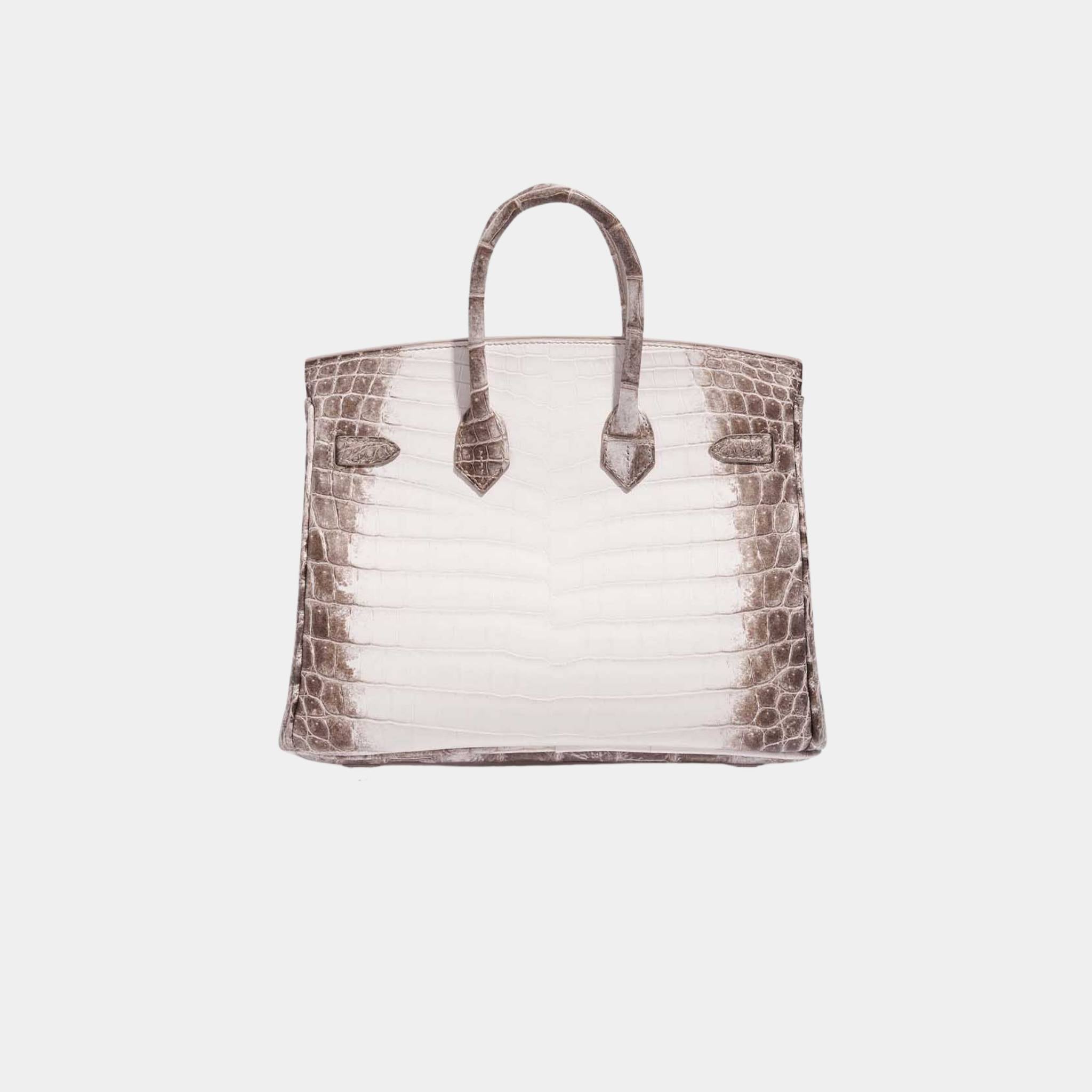 Hermes Birkin 25 Niloticus Crocodile Himalaya Blanc, Back