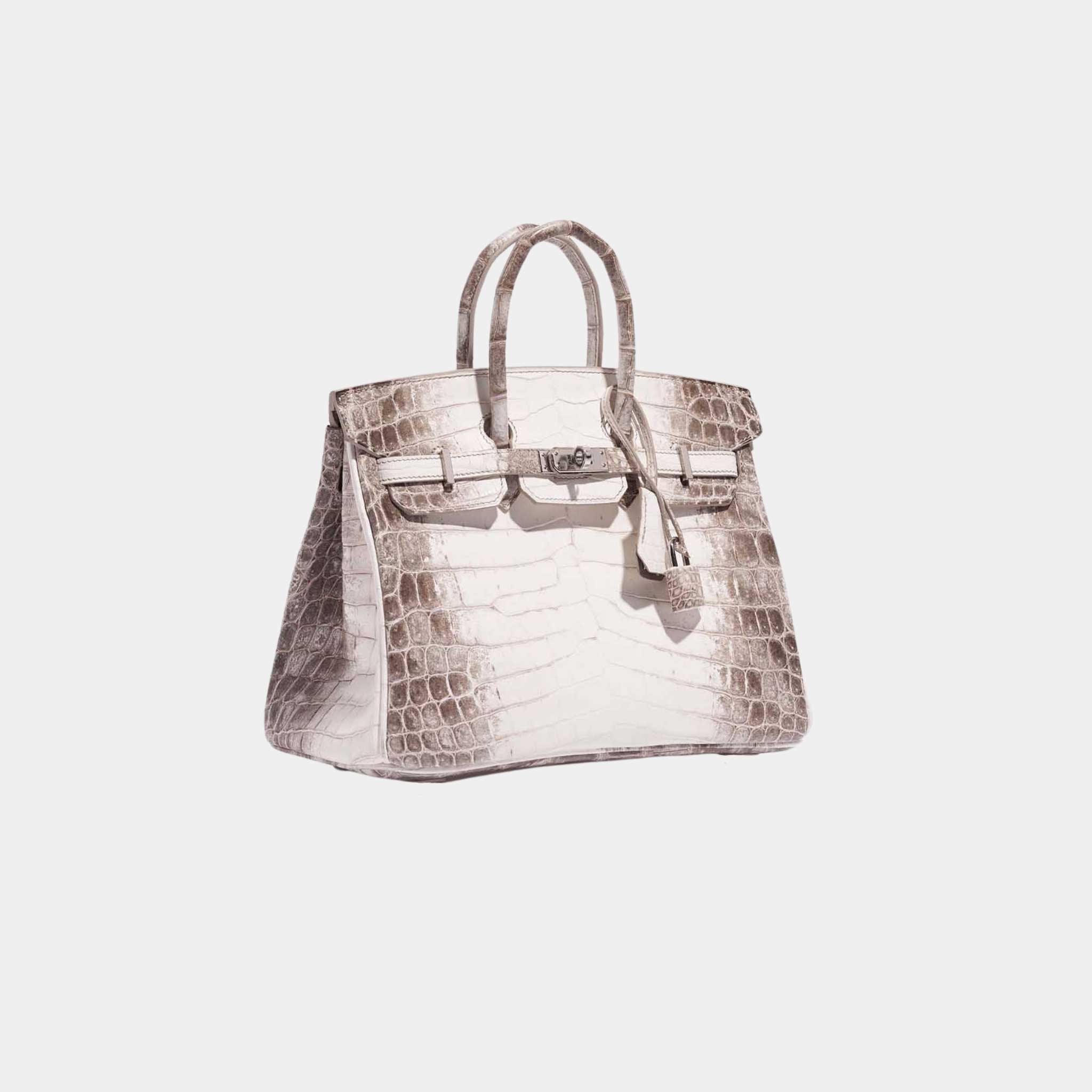 Hermes Birkin 25 Niloticus Crocodile Himalaya Blanc, Side