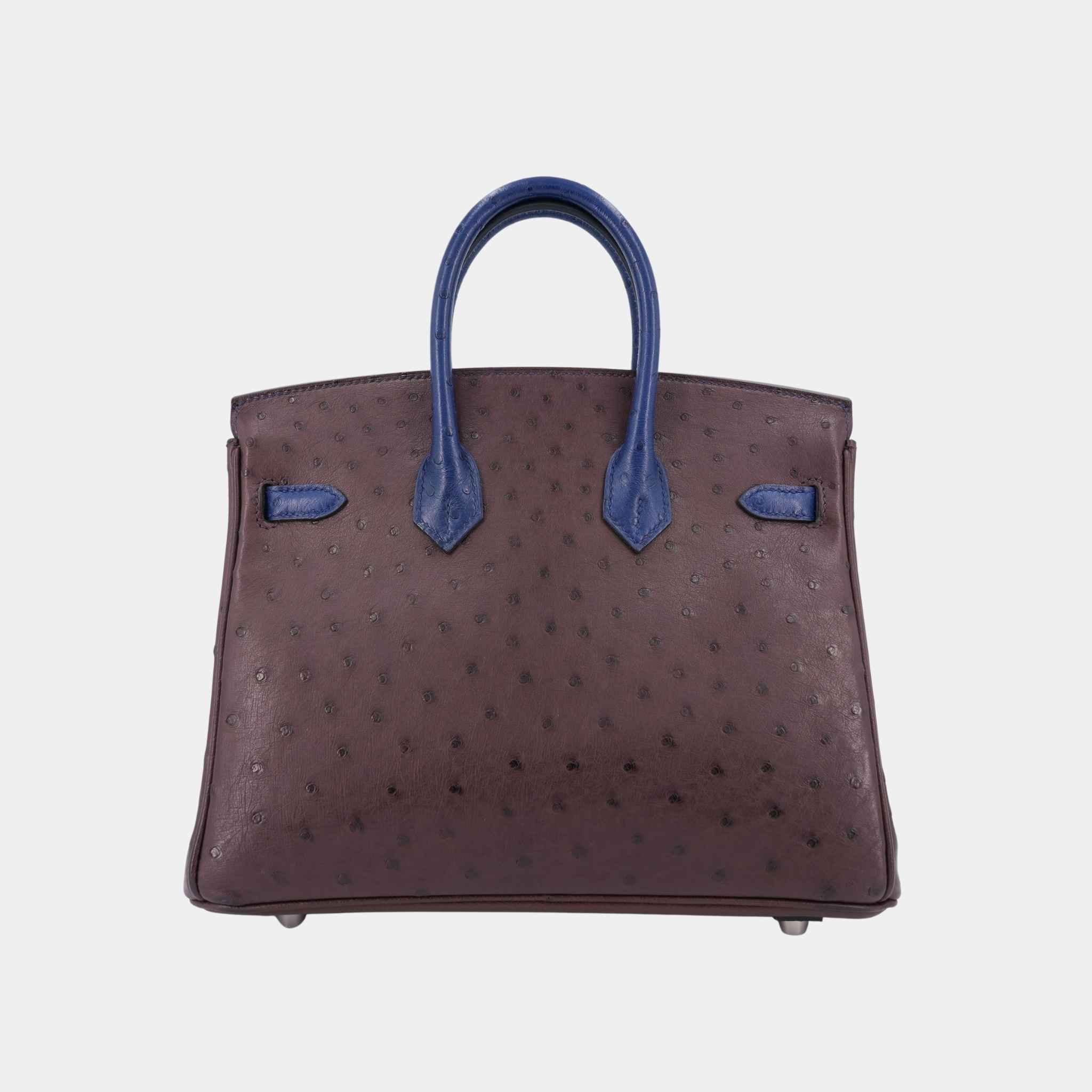 Hermes Birkin 25 Ostrich Rouge Sellier/Bleu Iris PHW, Back