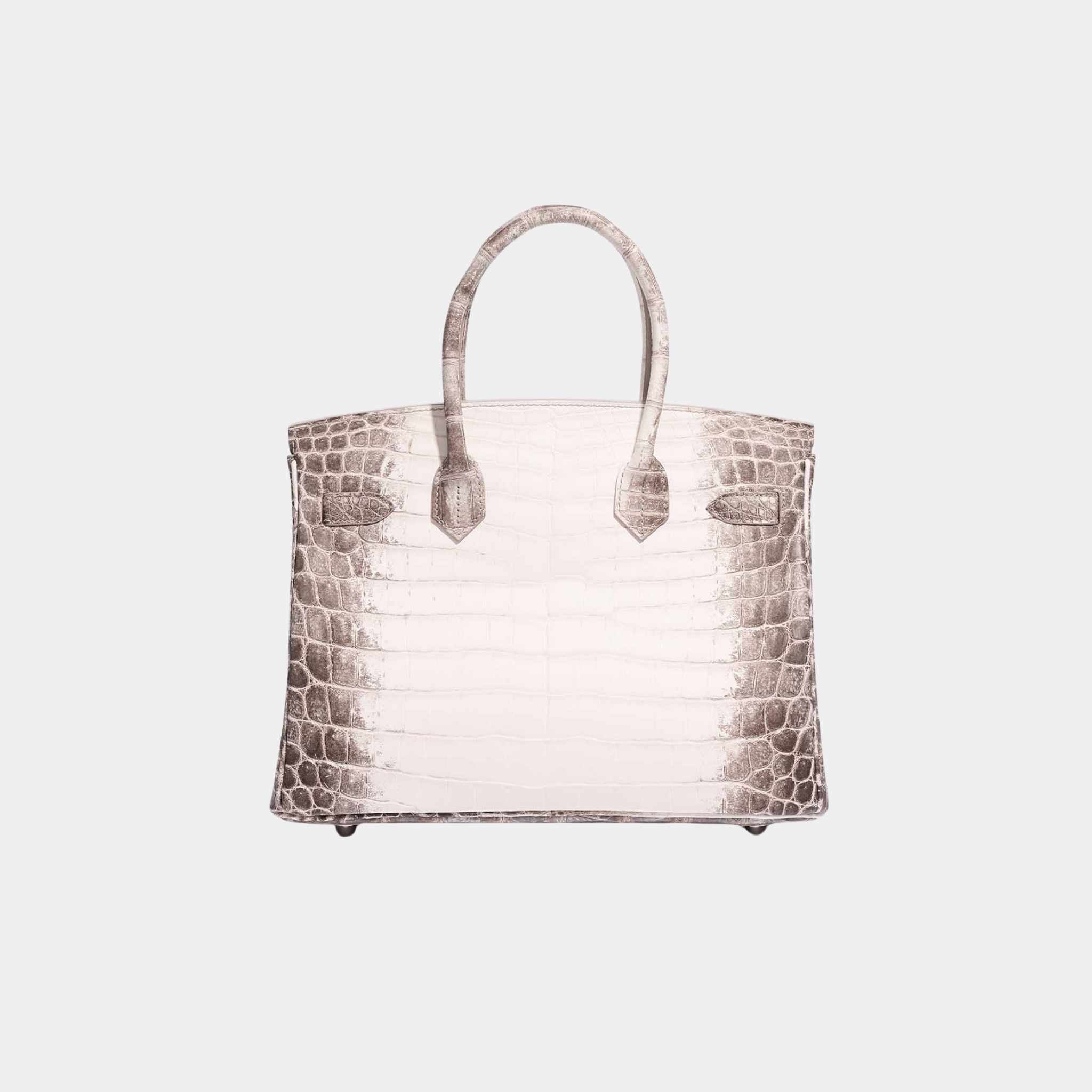 Hermes Birkin 30 Matte Alligator Himalaya Blanc PHW, Back