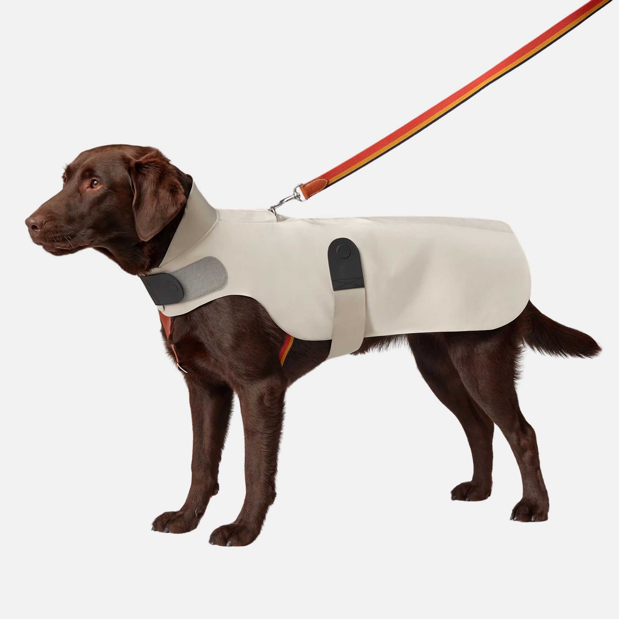 Hermes Luxury Dog Raincoat, Large, Gris