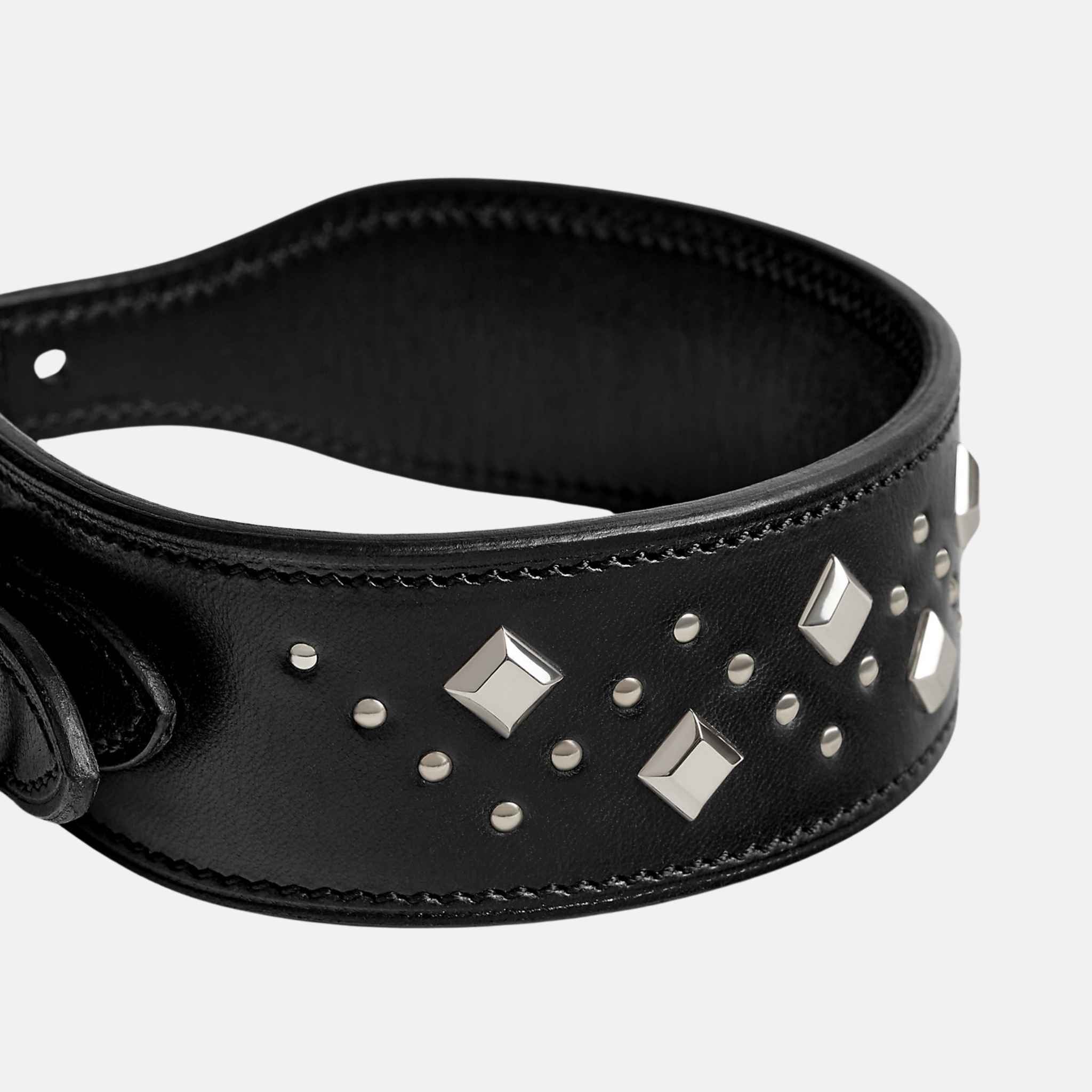 Hermes Punch Luxury Dog Collar, Close