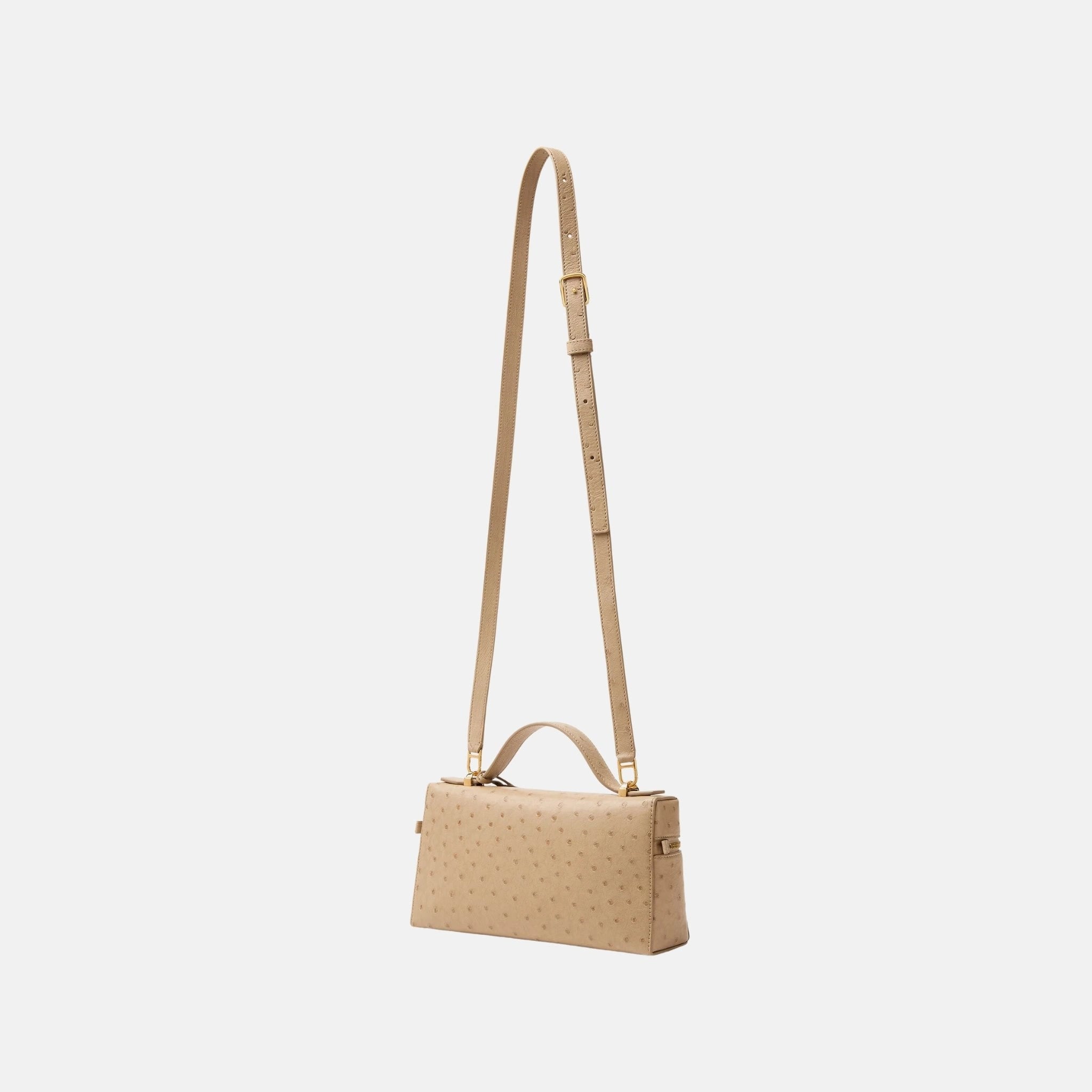 Loro Piana Extra Bag L23 in Ostrich Leather, Orix, Back