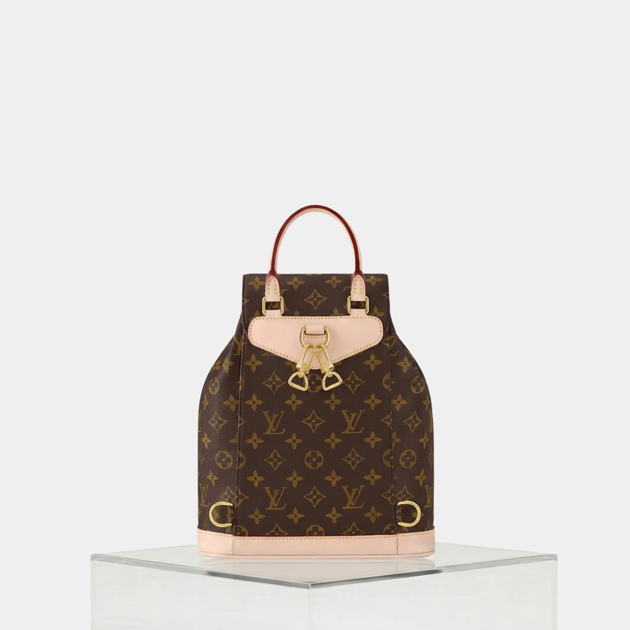 Louis Vuitton Montsouris PM Bag, Back