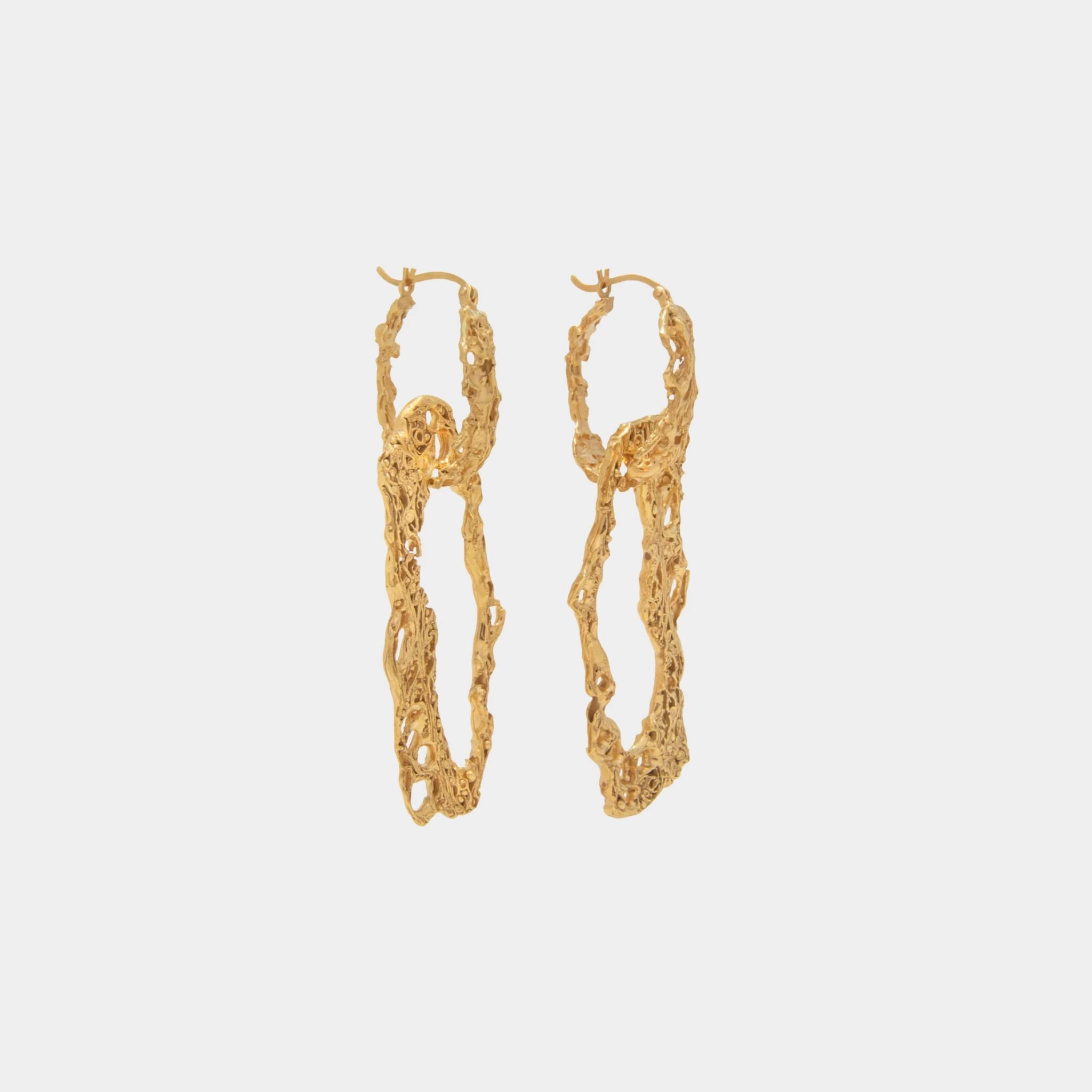Loveness lee Espostoa Gold plated Earrings, Side