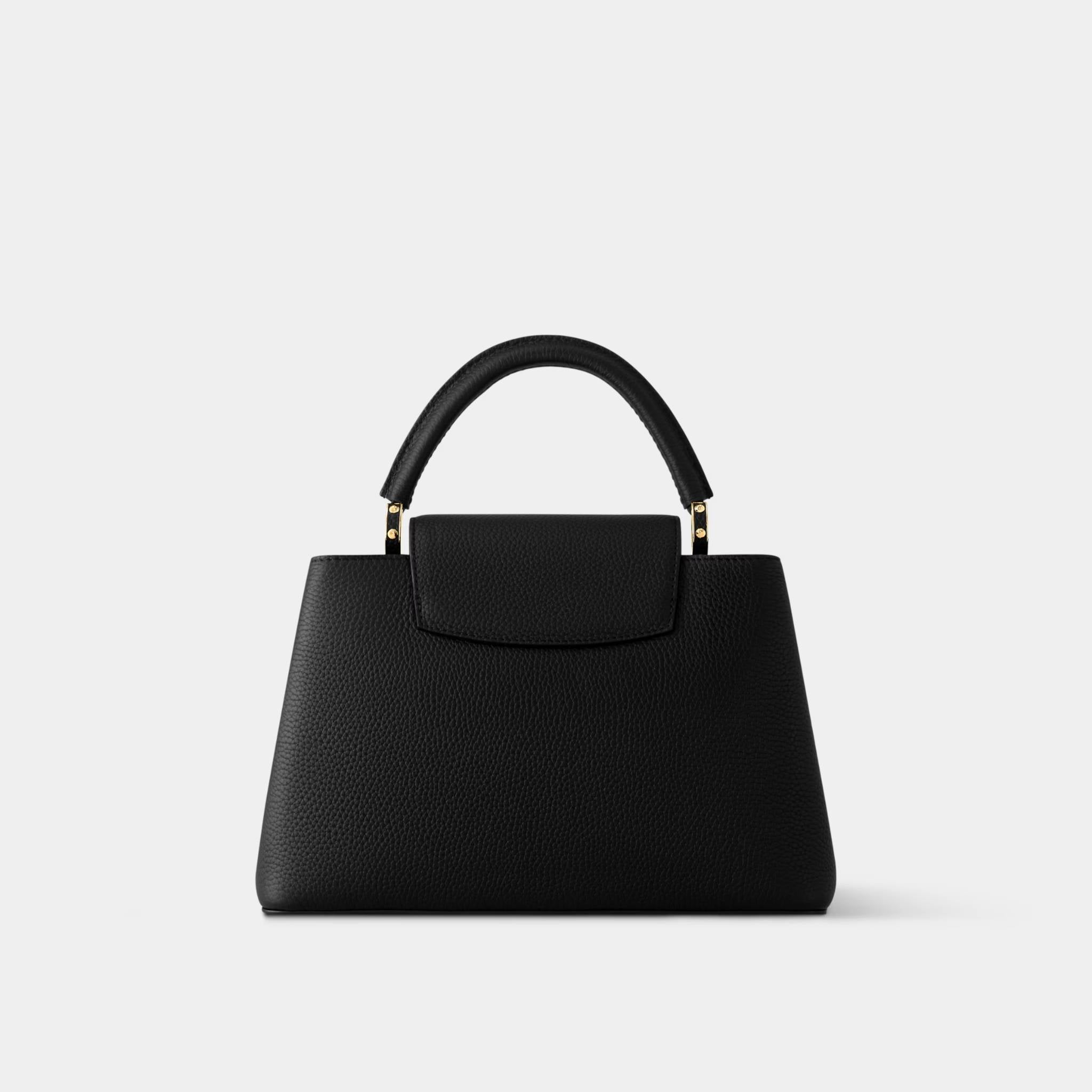 LV x TM Capucines MM Bag, Back