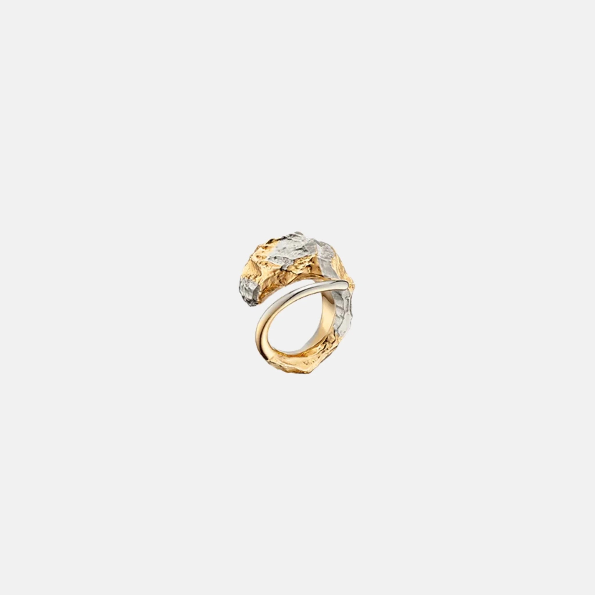 Polene Eroz Ring Duo Palladium with 24 Carat Gold Plating, Front