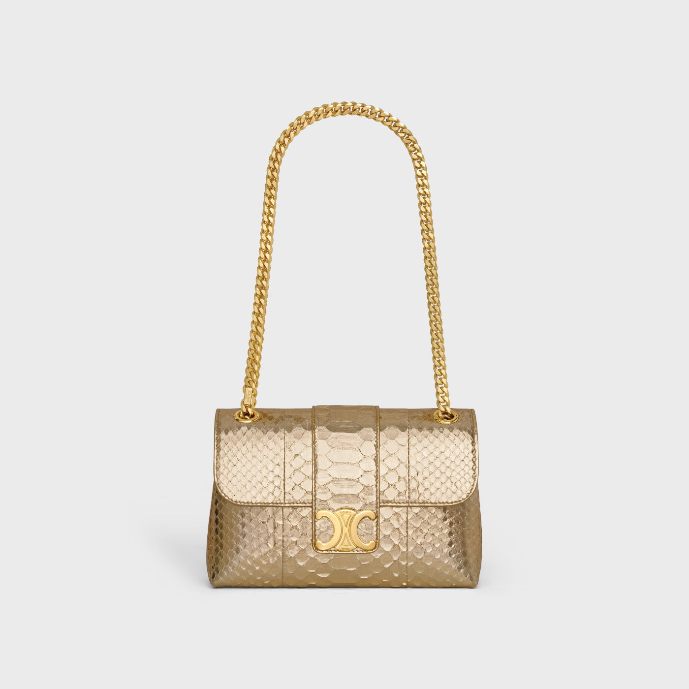 Teen Celine Victoire Bag In Laminated Python