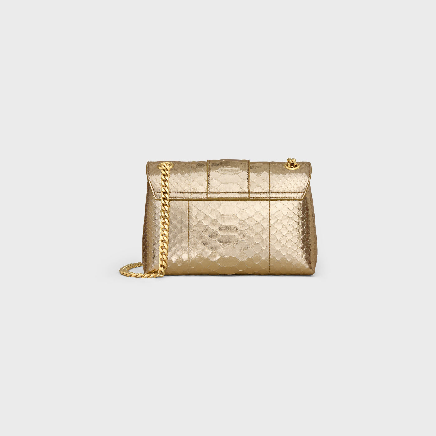 Teen Celine Victoire Bag In Laminated Python