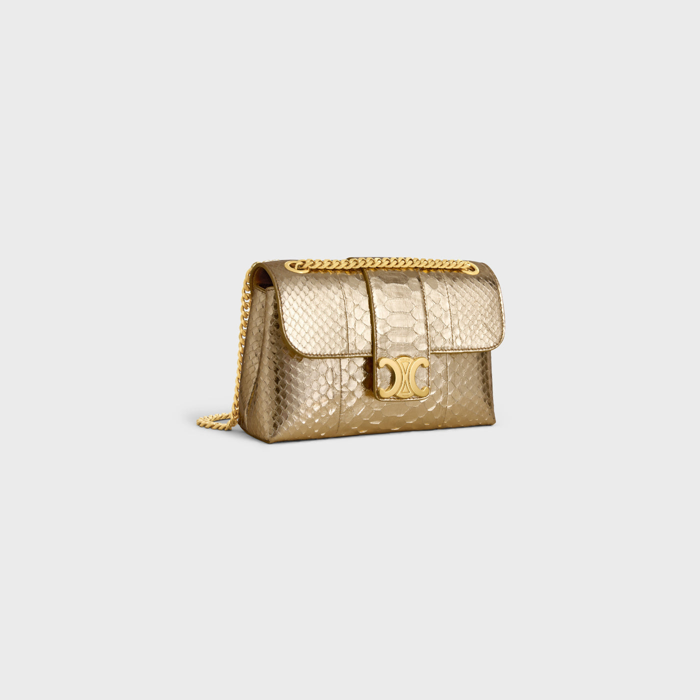 Teen Celine Victoire Bag In Laminated Python