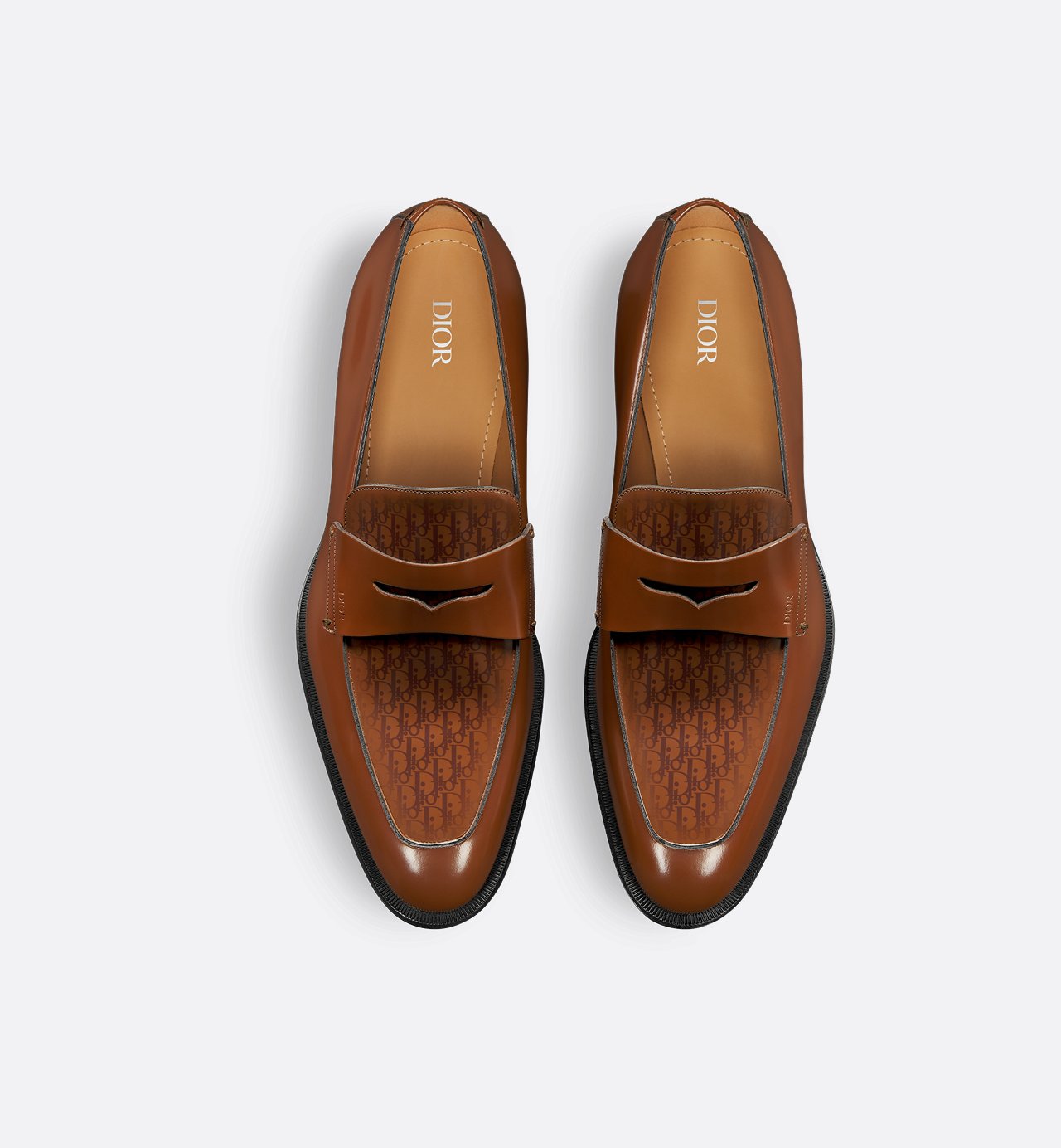 Timeless Loafer Brown Polished Calfskin With Dior Oblique Gradient