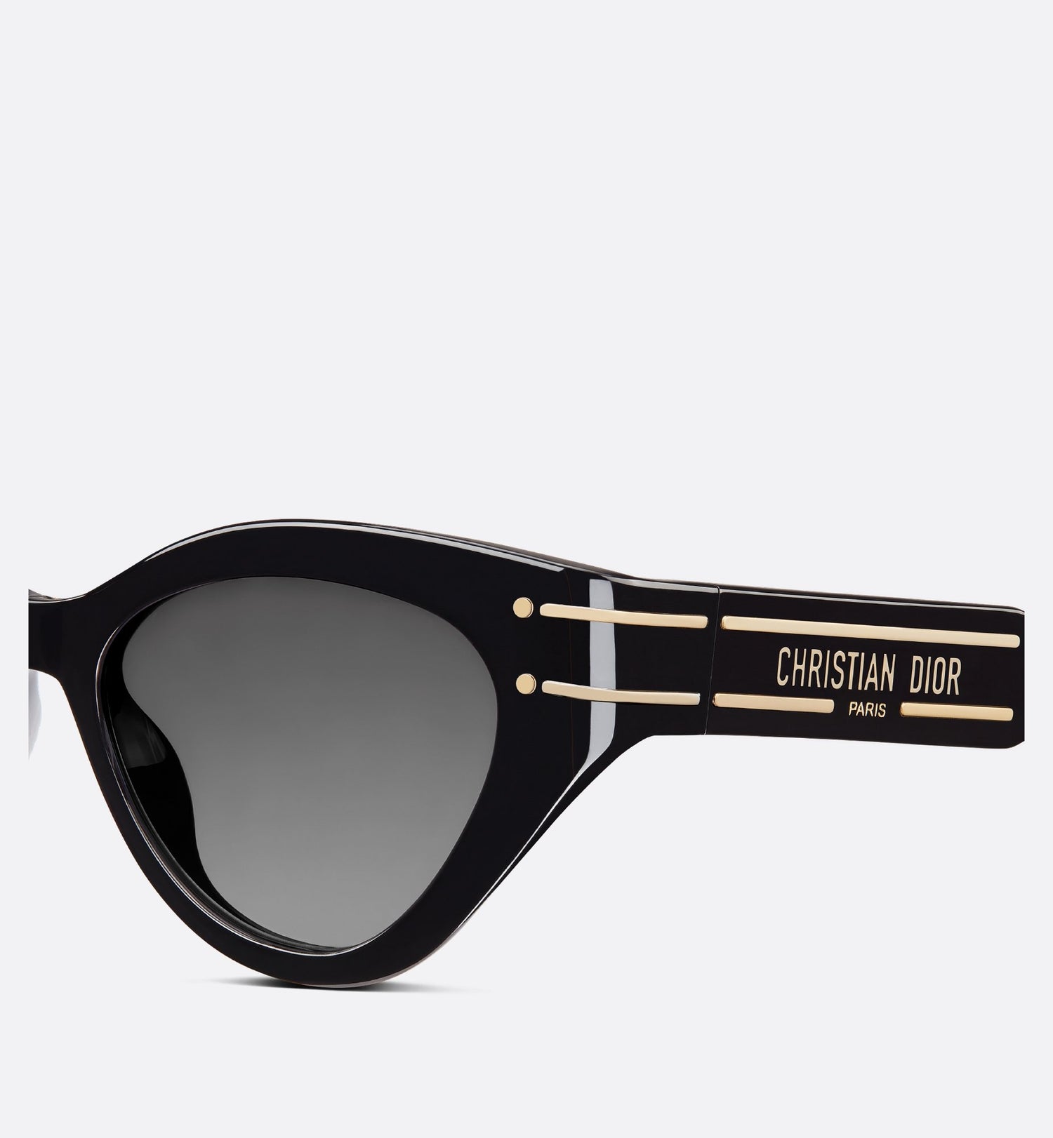 Diorsignature B7I Black Butterfly Sunglasses