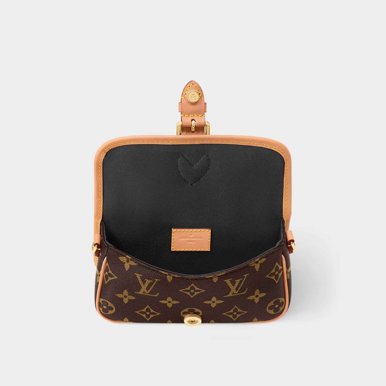 Louis Vuitton Nano Diane Handbag Monogram Canvas Inside View 