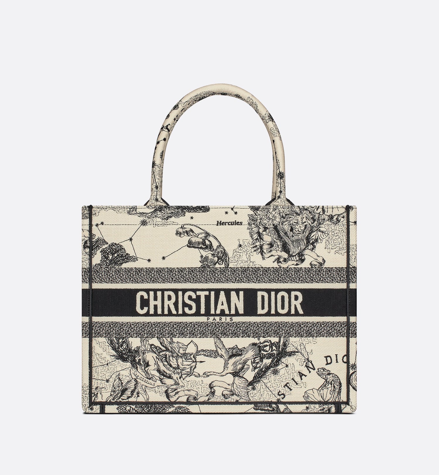 Medium Dior Book Tote Latte And Black Dior Zodiac Embroidery