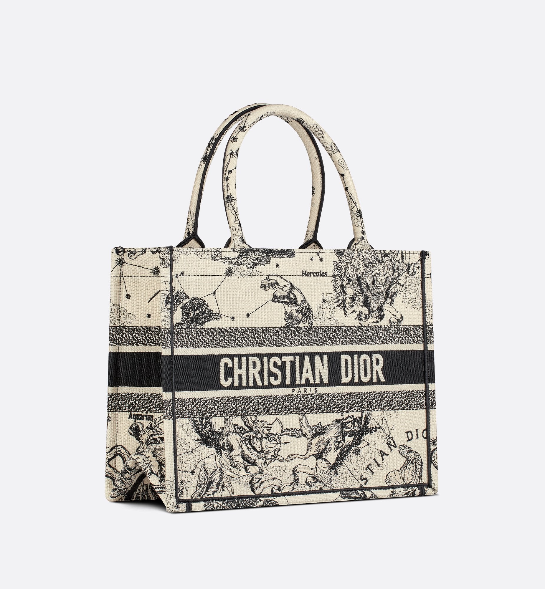 Medium Dior Book Tote Latte And Black Dior Zodiac Embroidery