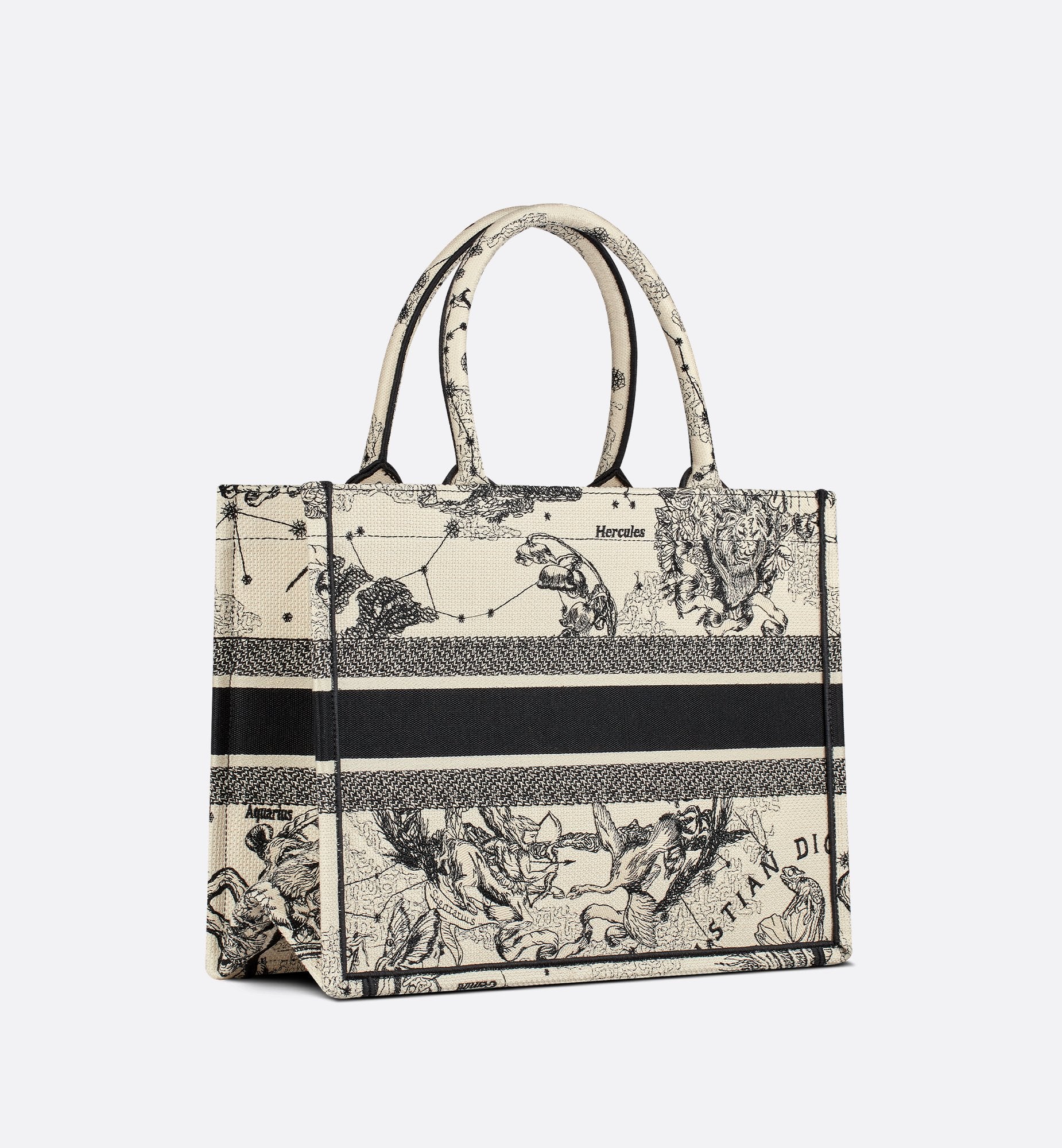 Medium Dior Book Tote Latte And Black Dior Zodiac Embroidery