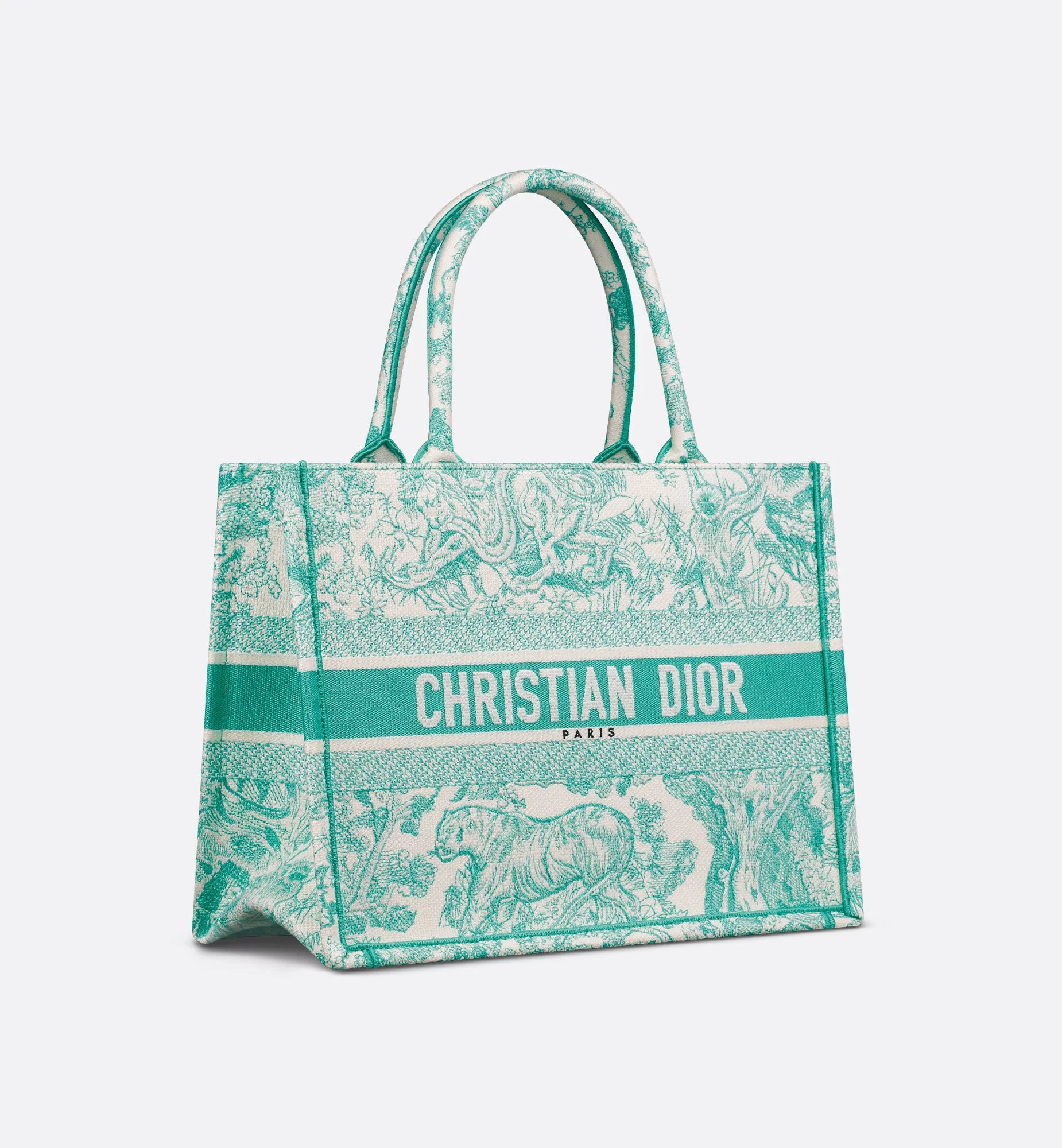 Medium Dioriviera Dior Book Tote Aquamarina Toile de Jouy Embroidery