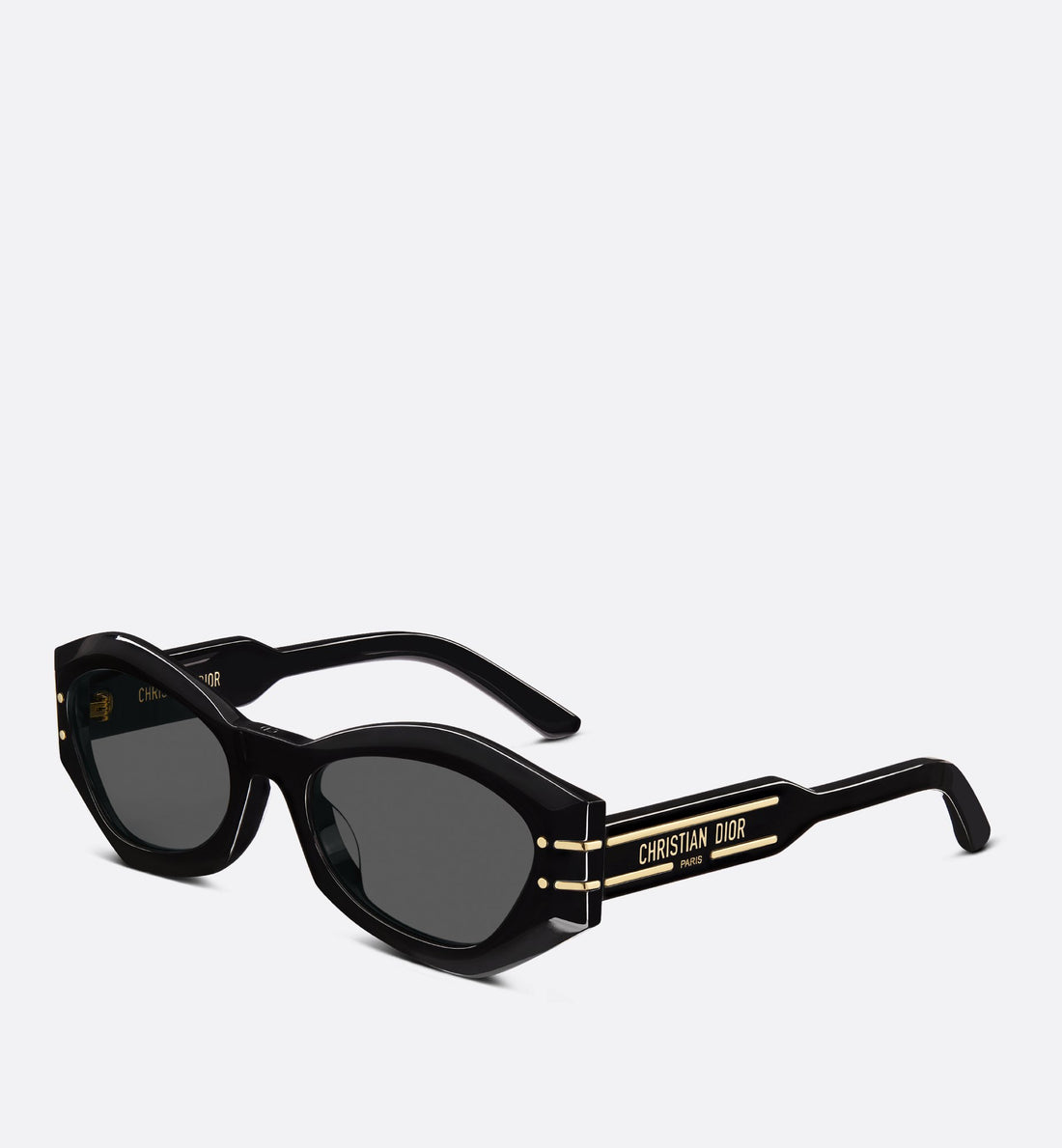 Diorsignature B1U Black Butterfly Sunglasses