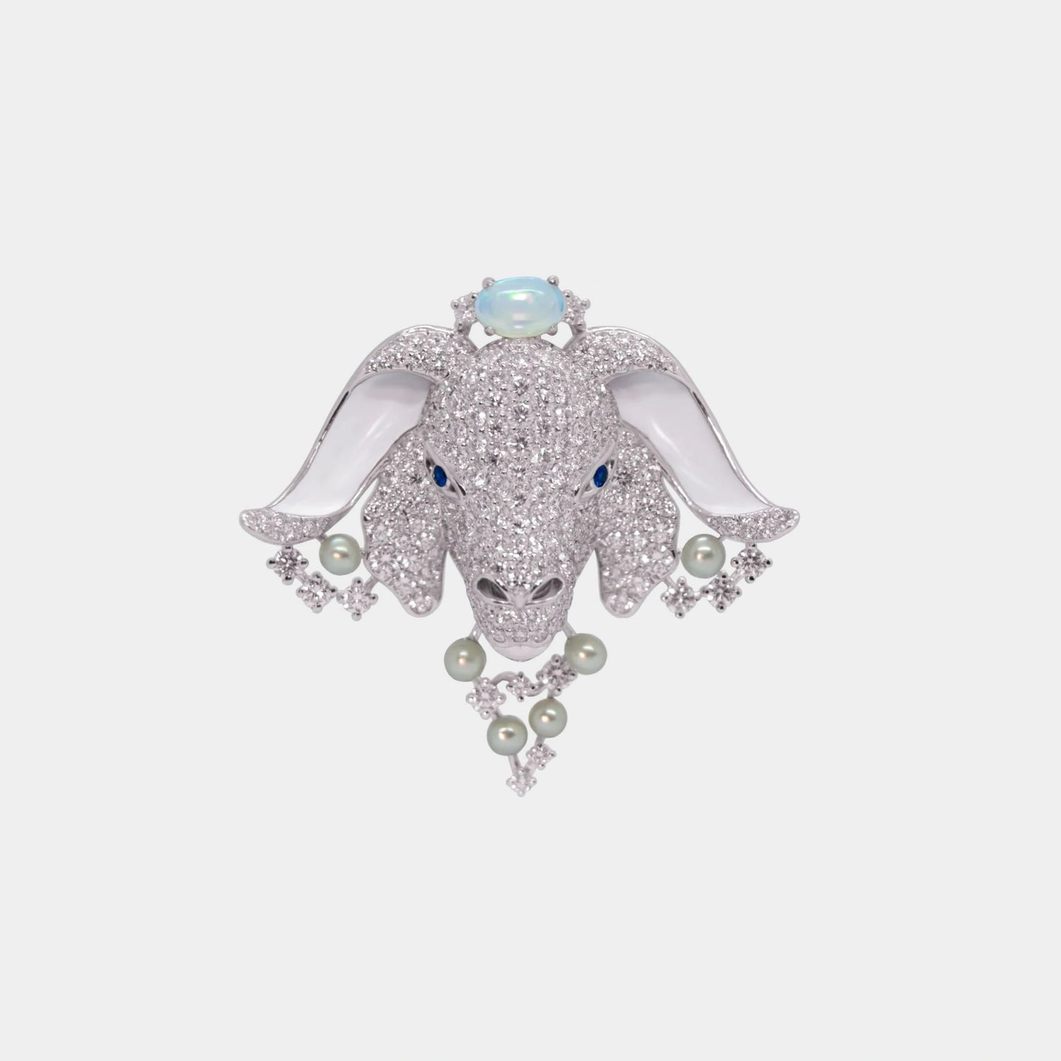 Zodiac Customized Bag Bijoux Capricorn