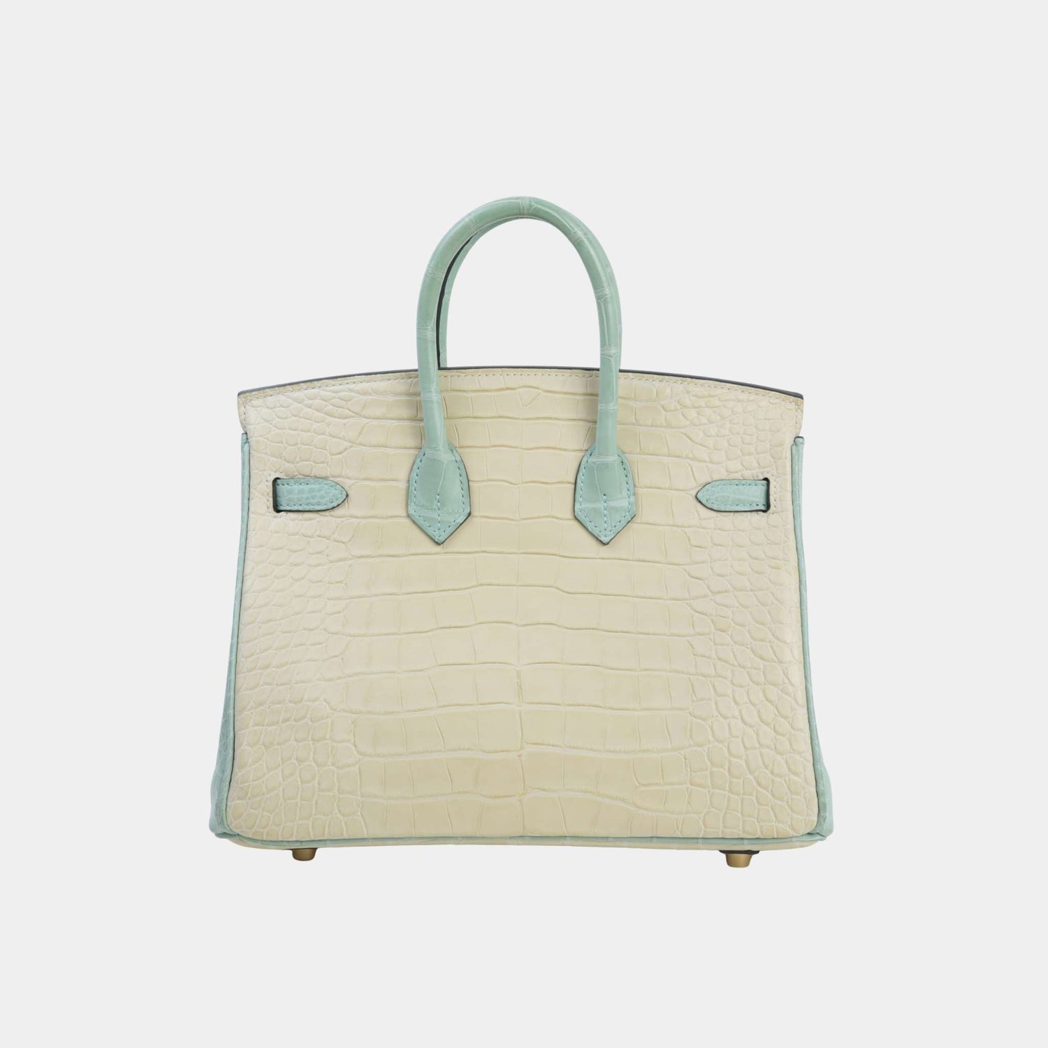 Hermes Birkin 25 HSS Matte Alligator Vanille/Vert d’Eau PBHW, Back