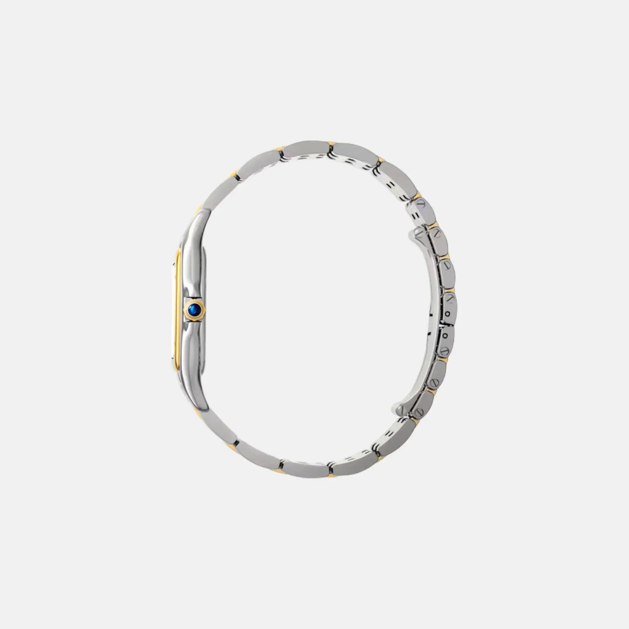 Cartier Panthere Large Model Yellow Gold Steel W2PN0012, Side
