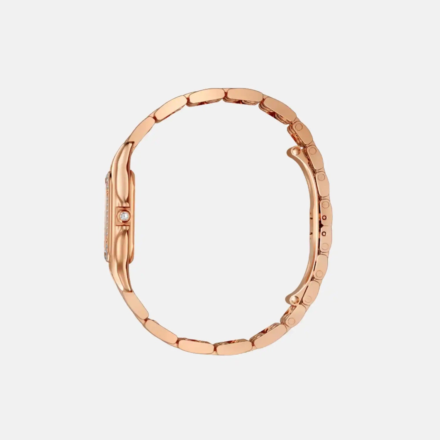 Cartier Panthere Small Model Rose Gold Diamond Set WJPN0077, Side