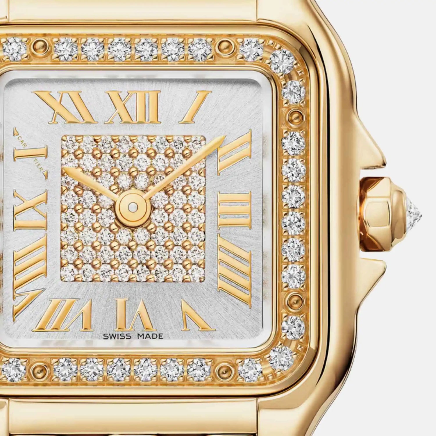 Cartier Panthere Small Model Yellow Gold Diamond Set WJPN0080, Close