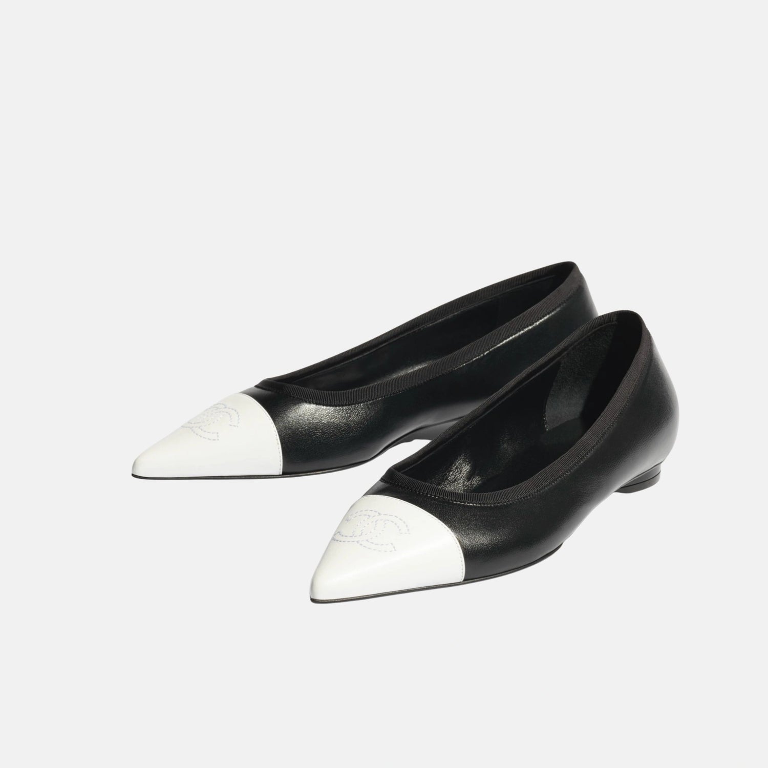 Ballet Flats in Iridescent Lambskin