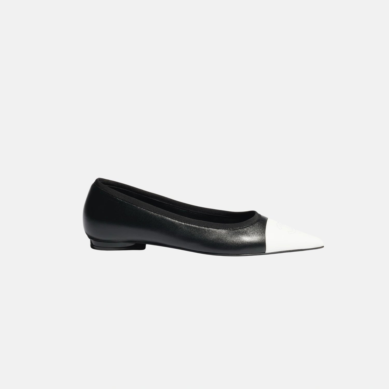 Ballet Flats in Iridescent Lambskin