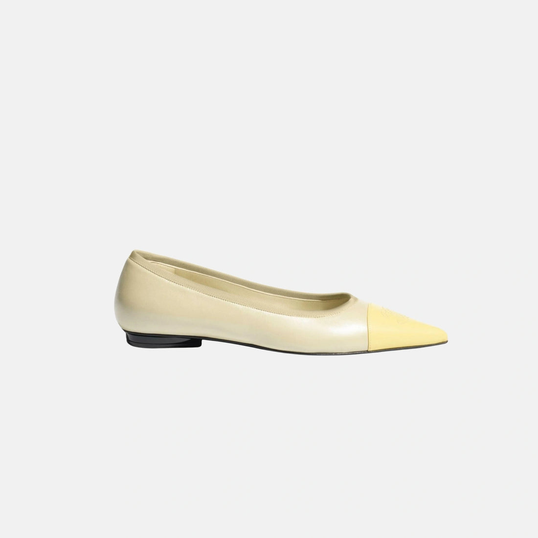 Chanel Ballet Flats in Iridescent Lambskin, Side