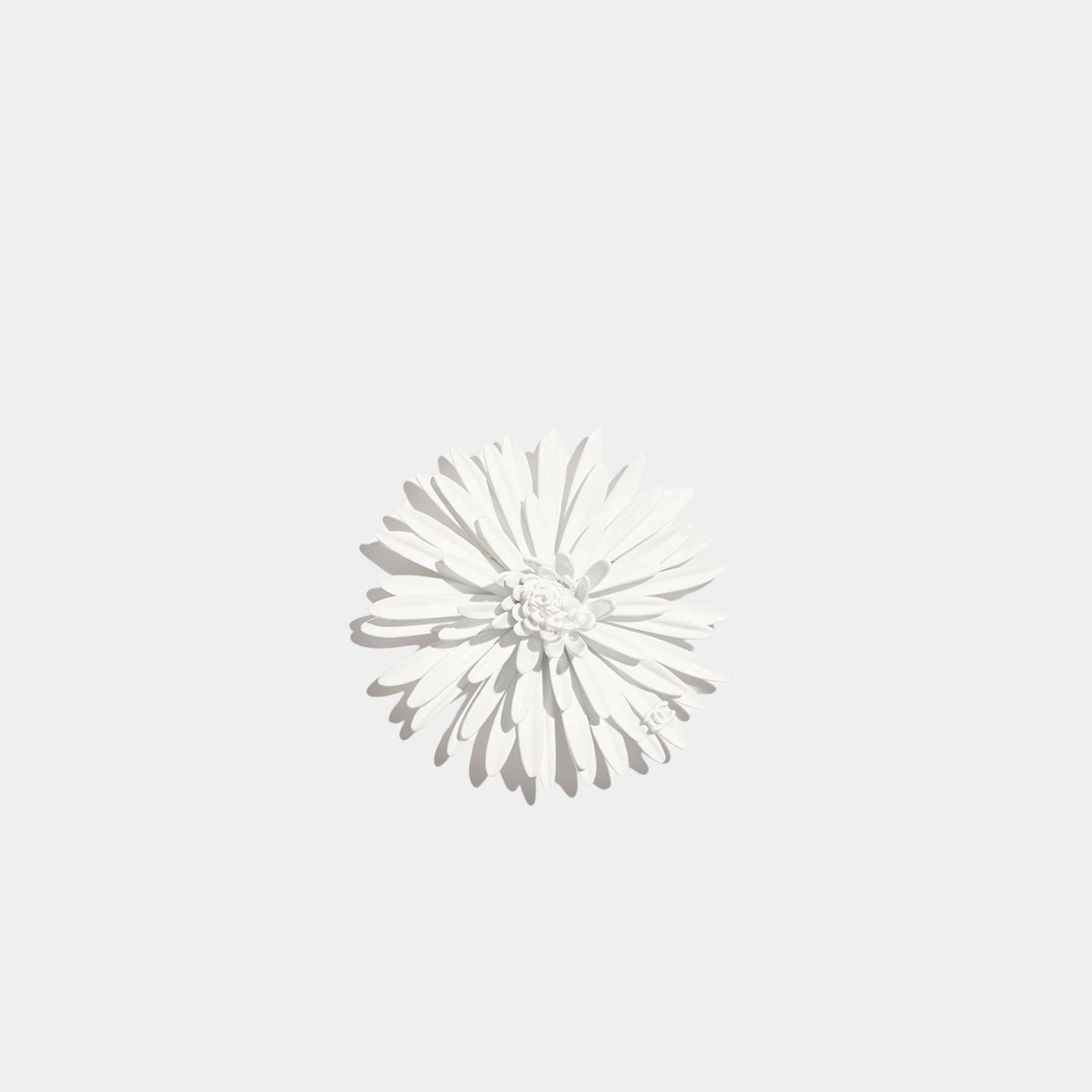 Chanel Brooch Metal &amp; Resin, White, Front 