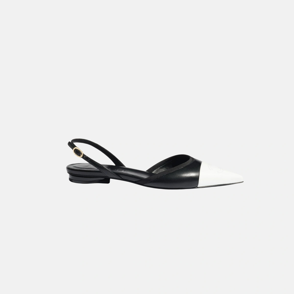 Slingbacks in Iridescent Lambskin
