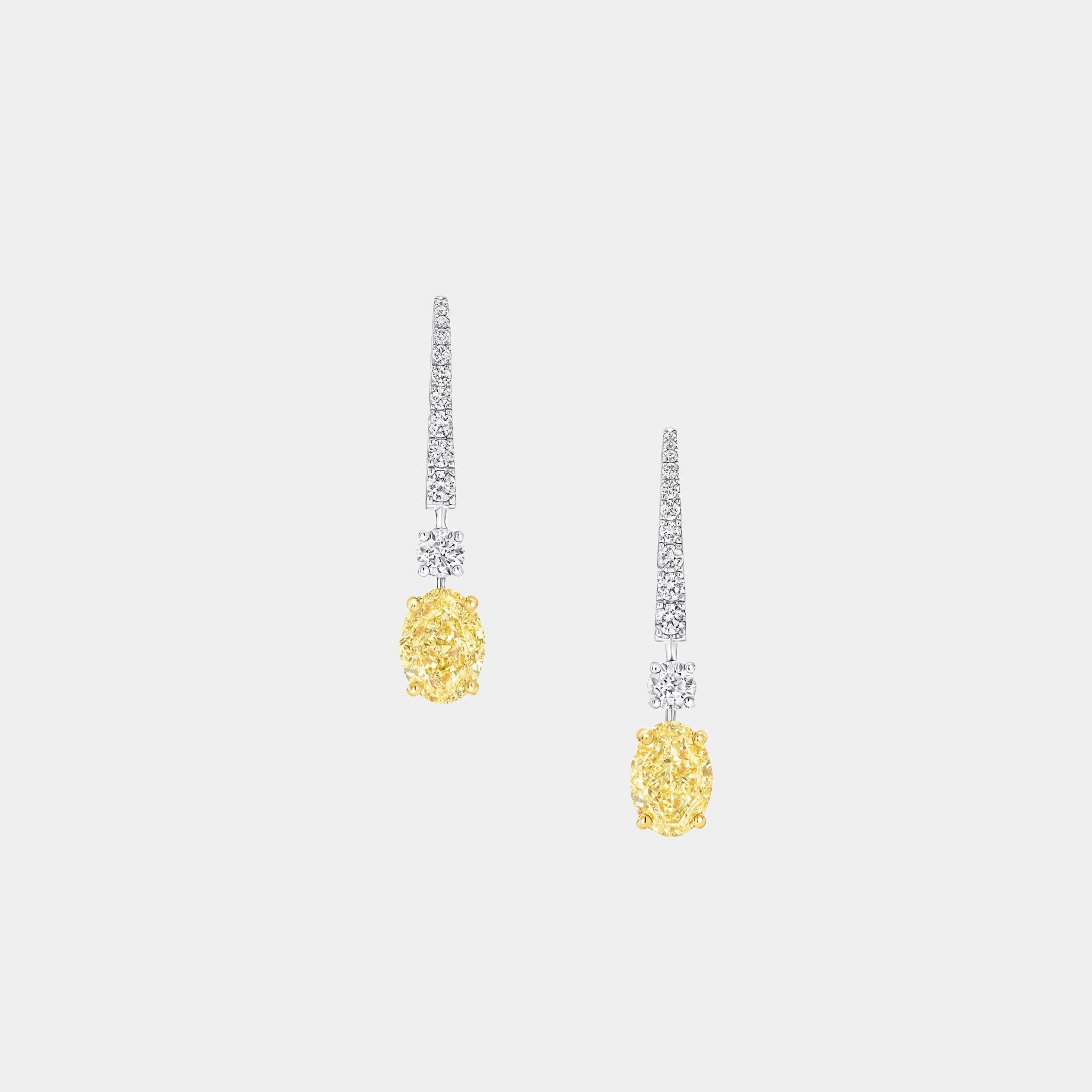 Classic Graff Oval Yellow Diamond Solitaire Earrings, Front