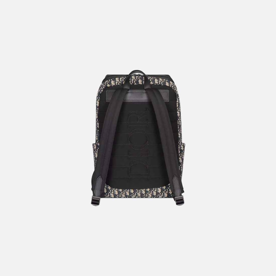 Dior Rider Soft Zipped Backpack In Oblique Jacquard And Grained Calfskin, Beige, Back