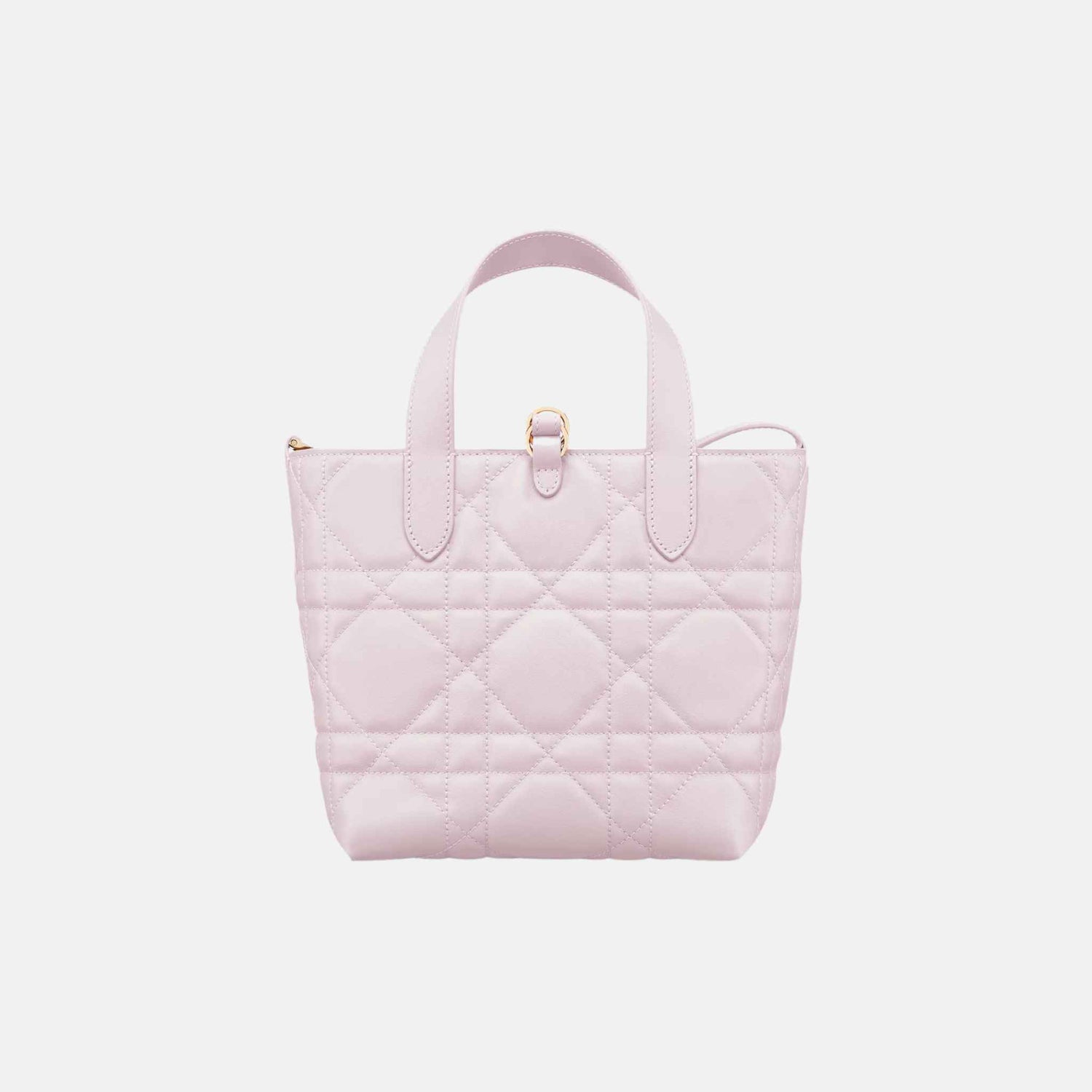 Dior Small Toujours Vertical Tote Bag, Back, Pale Pink