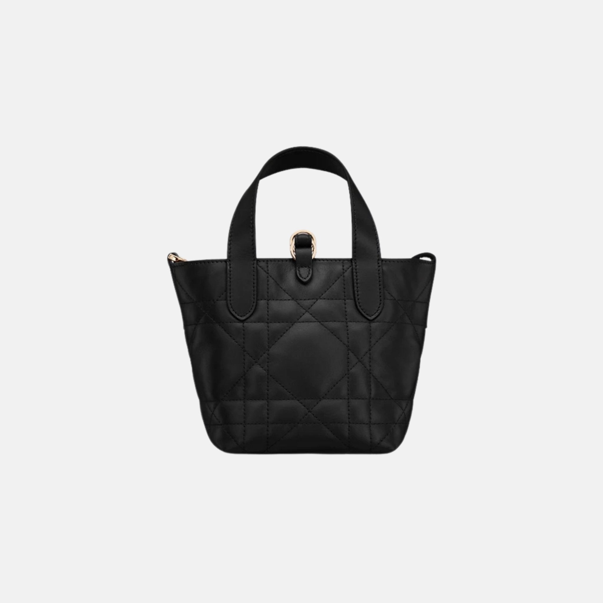 Dior Toujours Vertical Nano Tote Bag, Black, Back