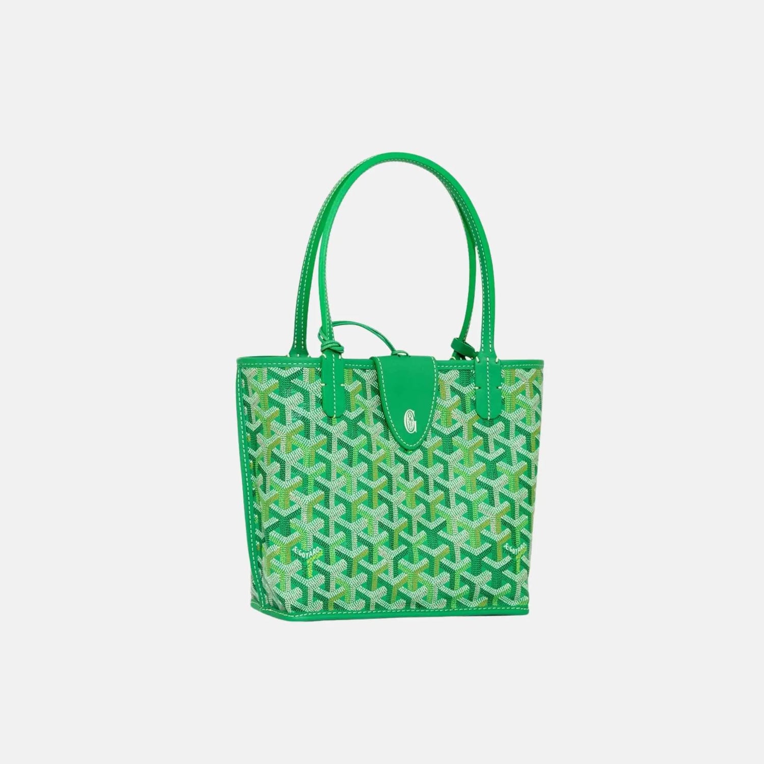 Goyard Anjou Mini Bag Limited Edition Multicoloured, Meadow green, Front