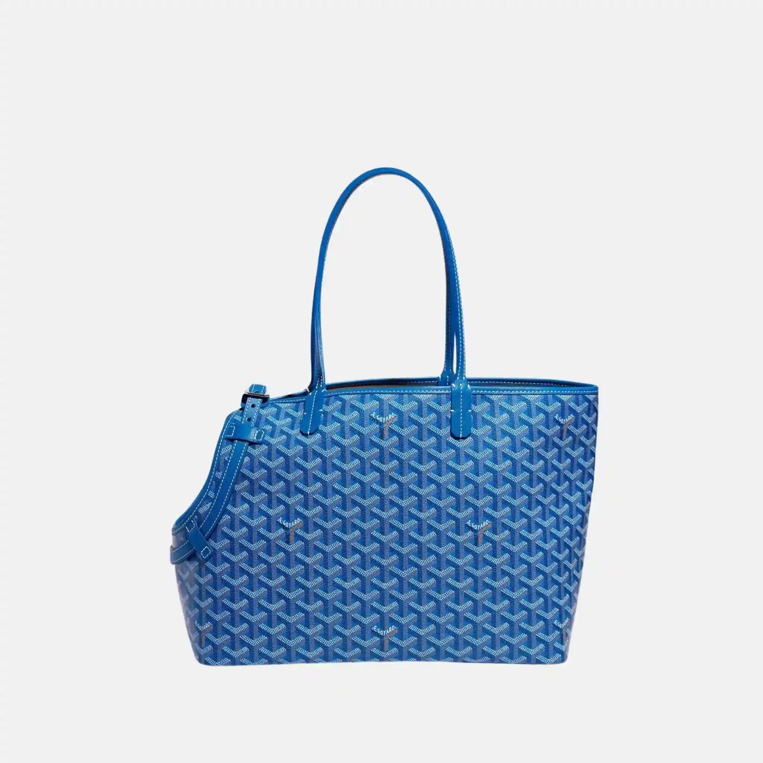 Goyard Chien Gris Luxury Pet Travel Bag, Sky Blue, Front