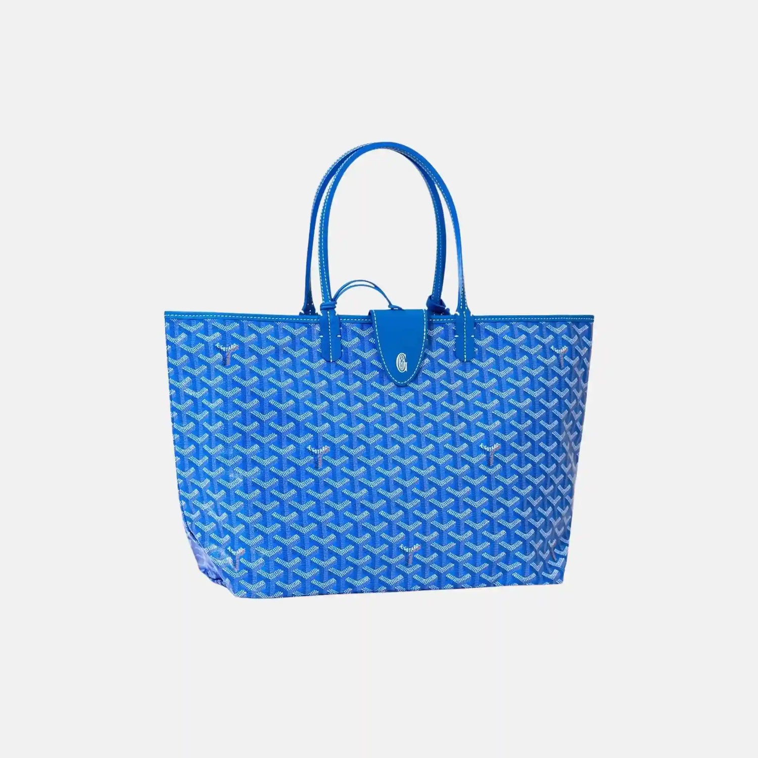 Goyard Saint Louis PM Bag, Sky Blue, Front, With Croc