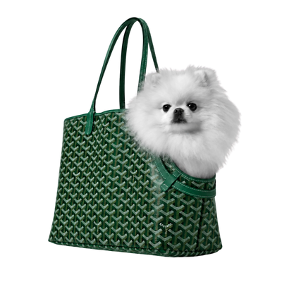 Pet Accessories