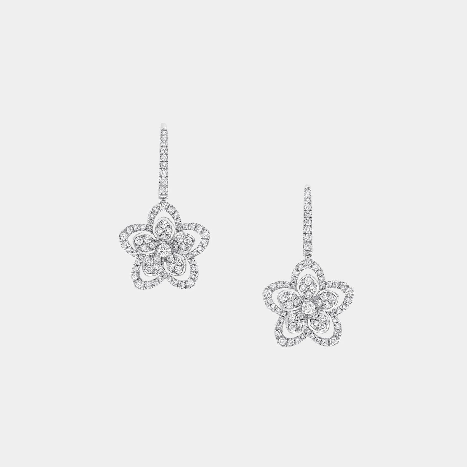 Graff Wild Flower Diamond Earrings, Front