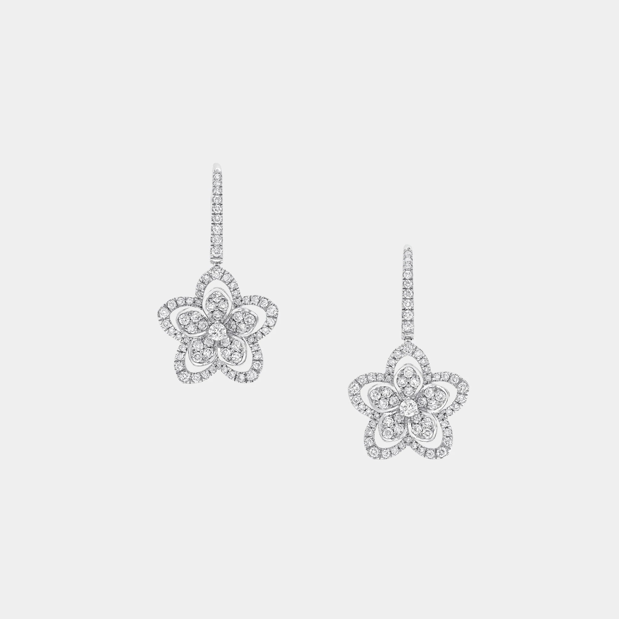 Graff Wild Flower Diamond Earrings, Front