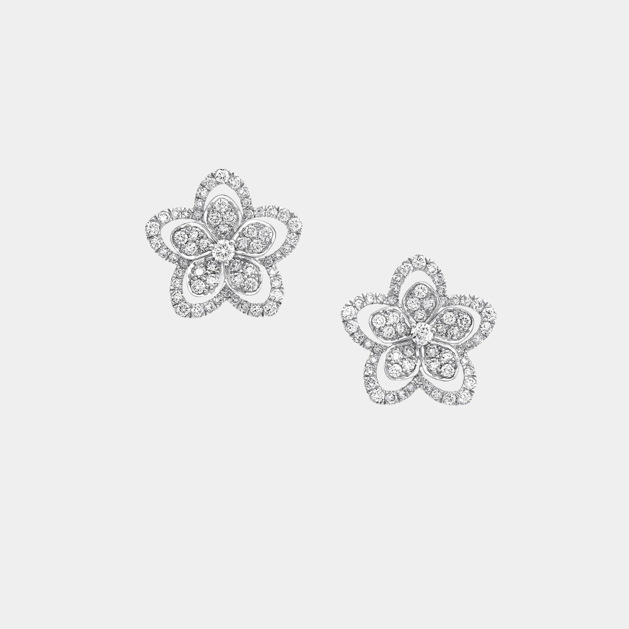 Graff Wild Flower Diamond Stud Earrings, Front